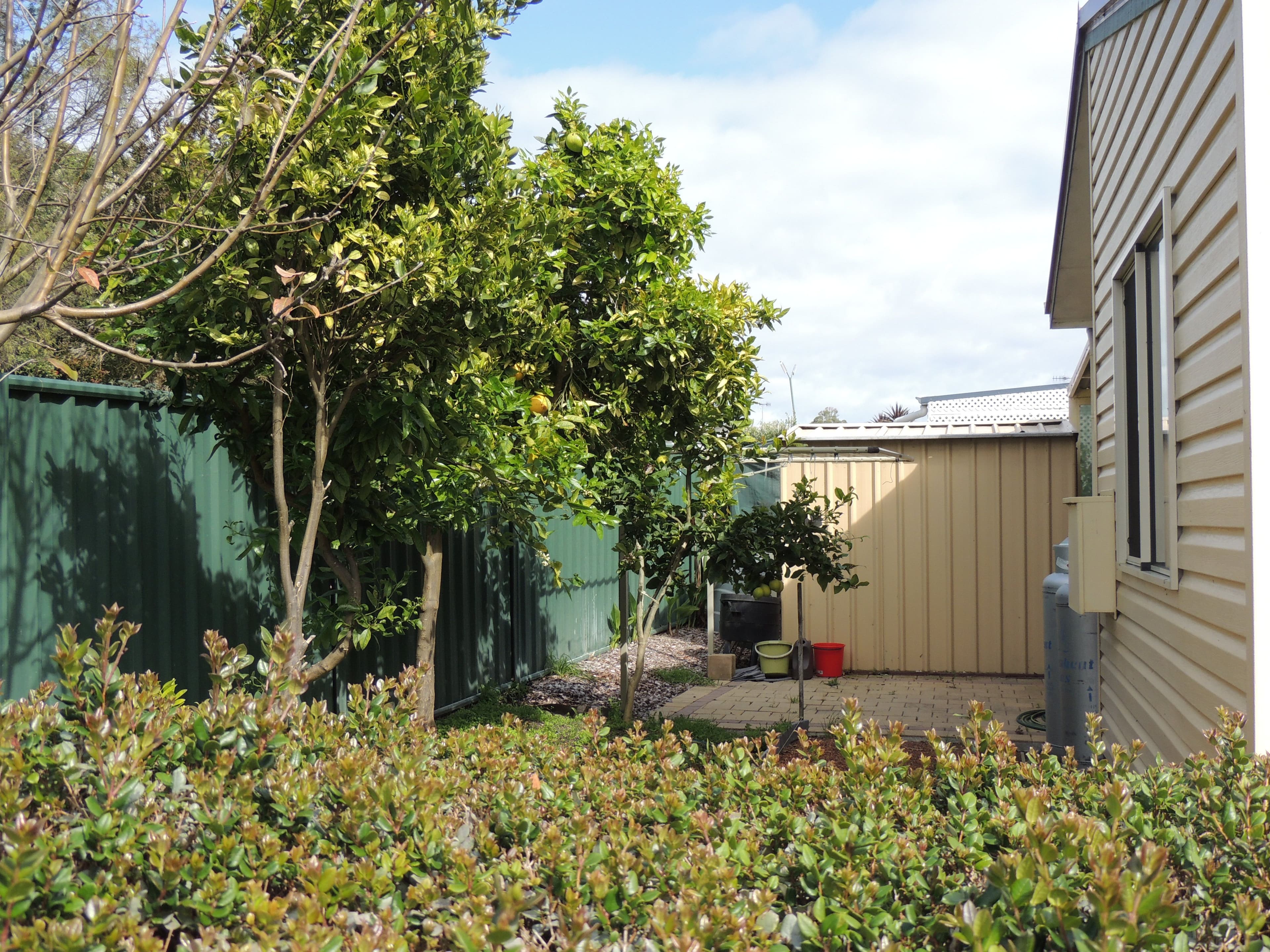550 Albany Highway, Milpara WA 6330, Milpara - Thumbnail 4
