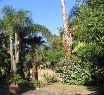 8 Nailon Place, MONA VALE NSW 2103, Mona Vale - Image 1