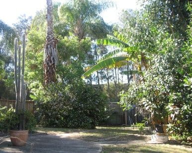 8 Nailon Place, MONA VALE NSW 2103, Mona Vale - Thumbnail 6