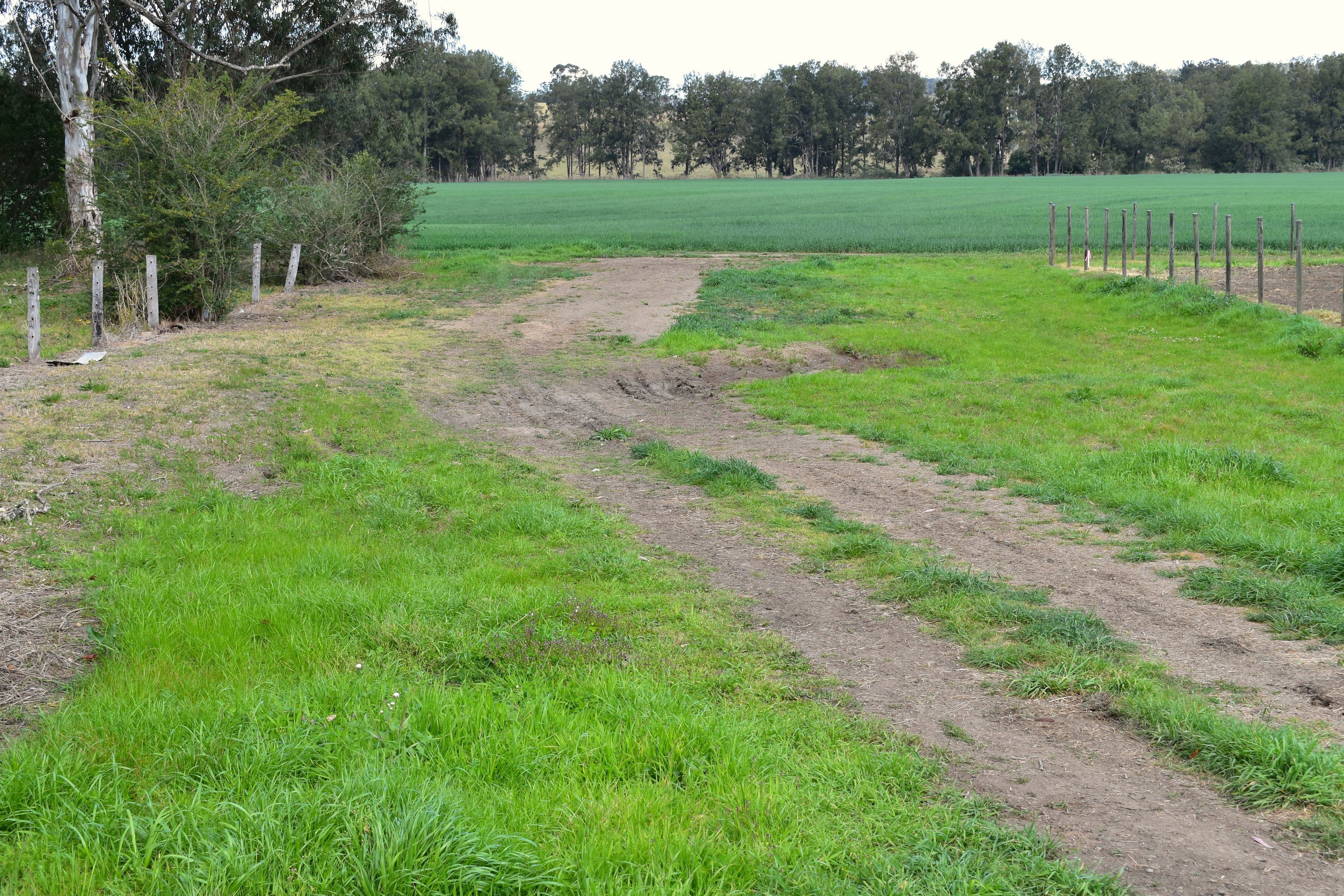 Lot 6 Tooloom Street, Urbenville NSW 2475, Urbenville - Image 1