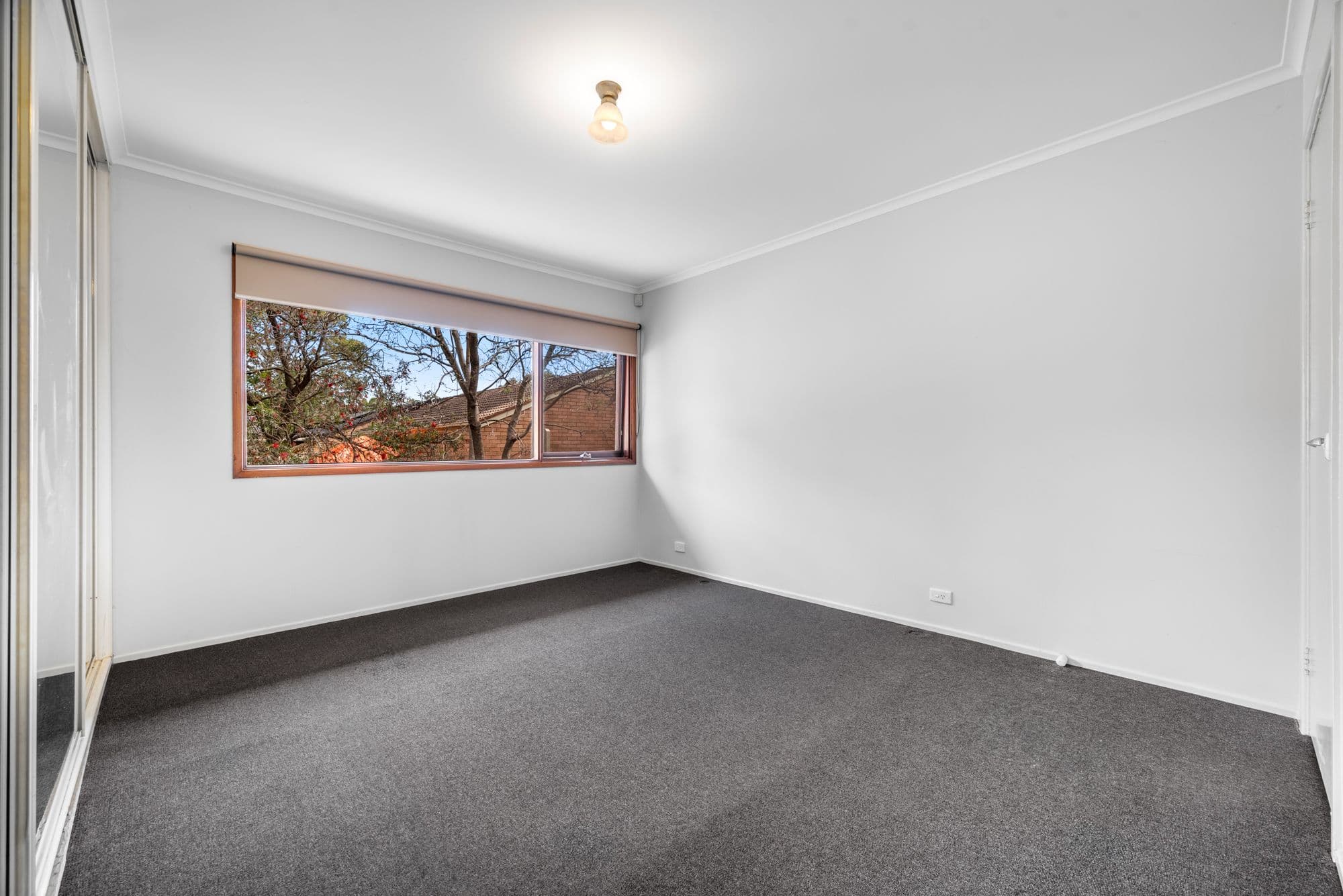 5 Airdsley Lane, Bradbury NSW 2560, Bradbury - Thumbnail 6