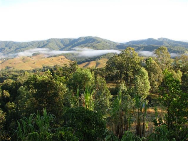 Lot 132 Rowe Road, Laceys Creek QLD 4521, Laceys Creek - Thumbnail 2