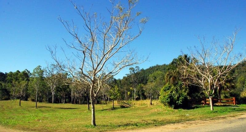 Lot 2 Paluma Road, CANNONVALE QLD 4802, Cannonvale - Thumbnail 7