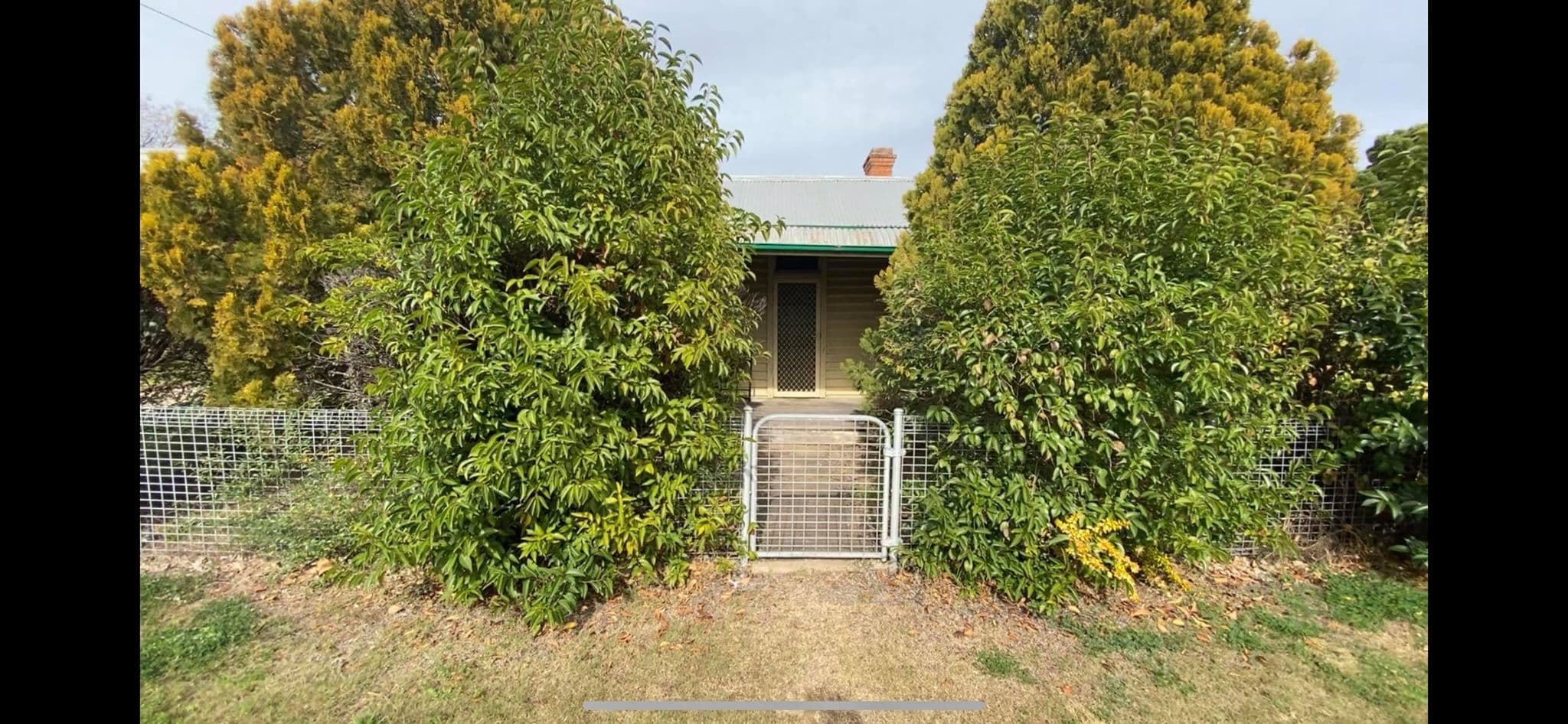 53 Kingdon Street, Scone NSW 2337, Scone - Image 1