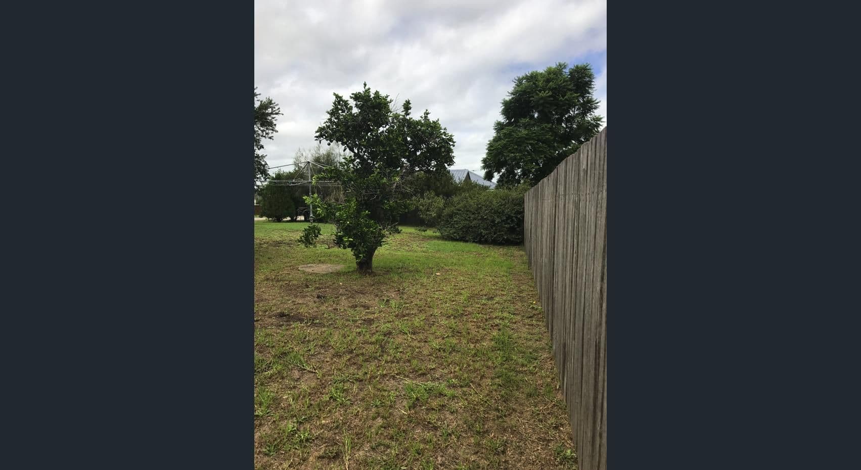 53 Kingdon Street, Scone NSW 2337, Scone - Thumbnail 8
