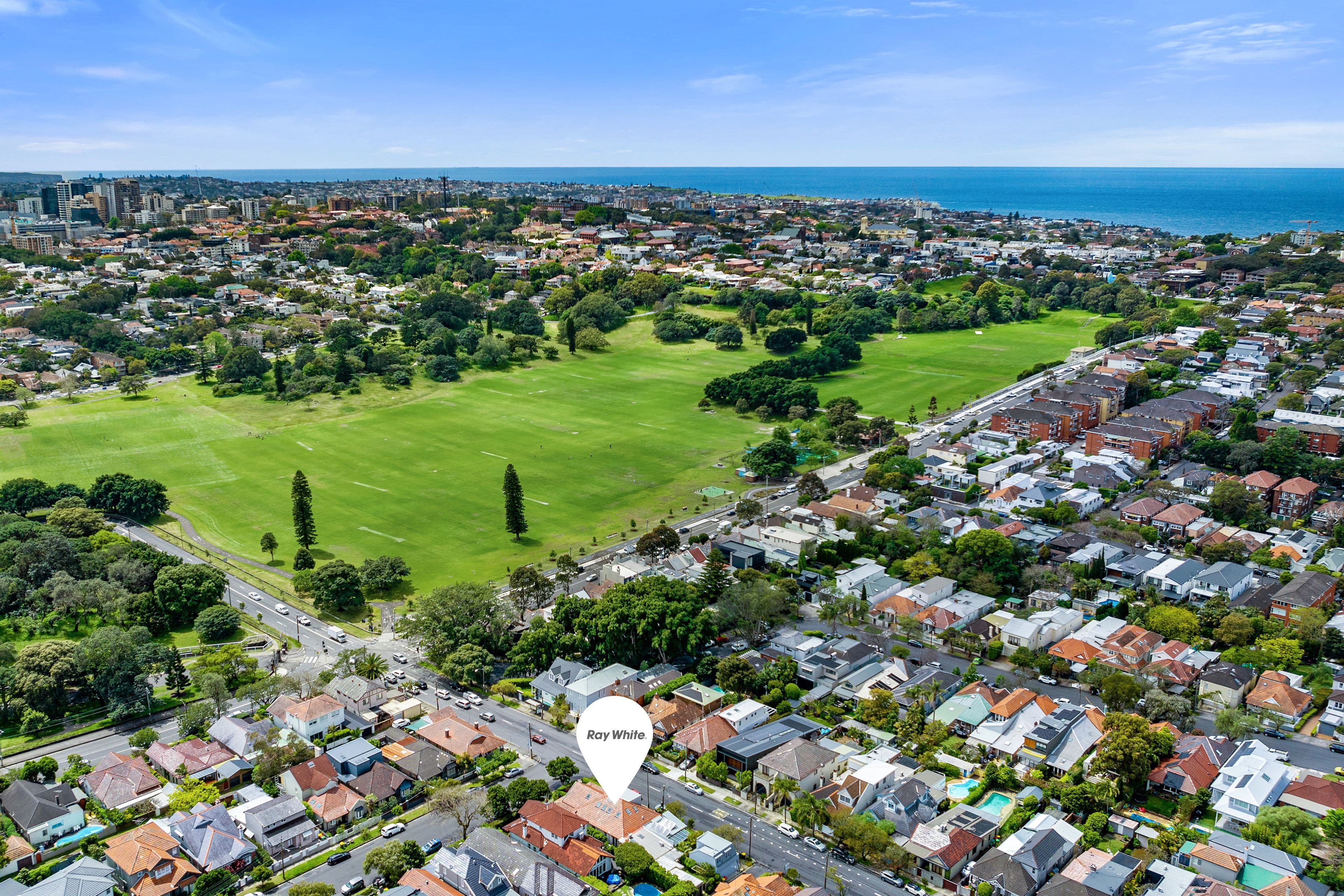 3 Earl Street, Randwick NSW 2031, Randwick - Thumbnail 6