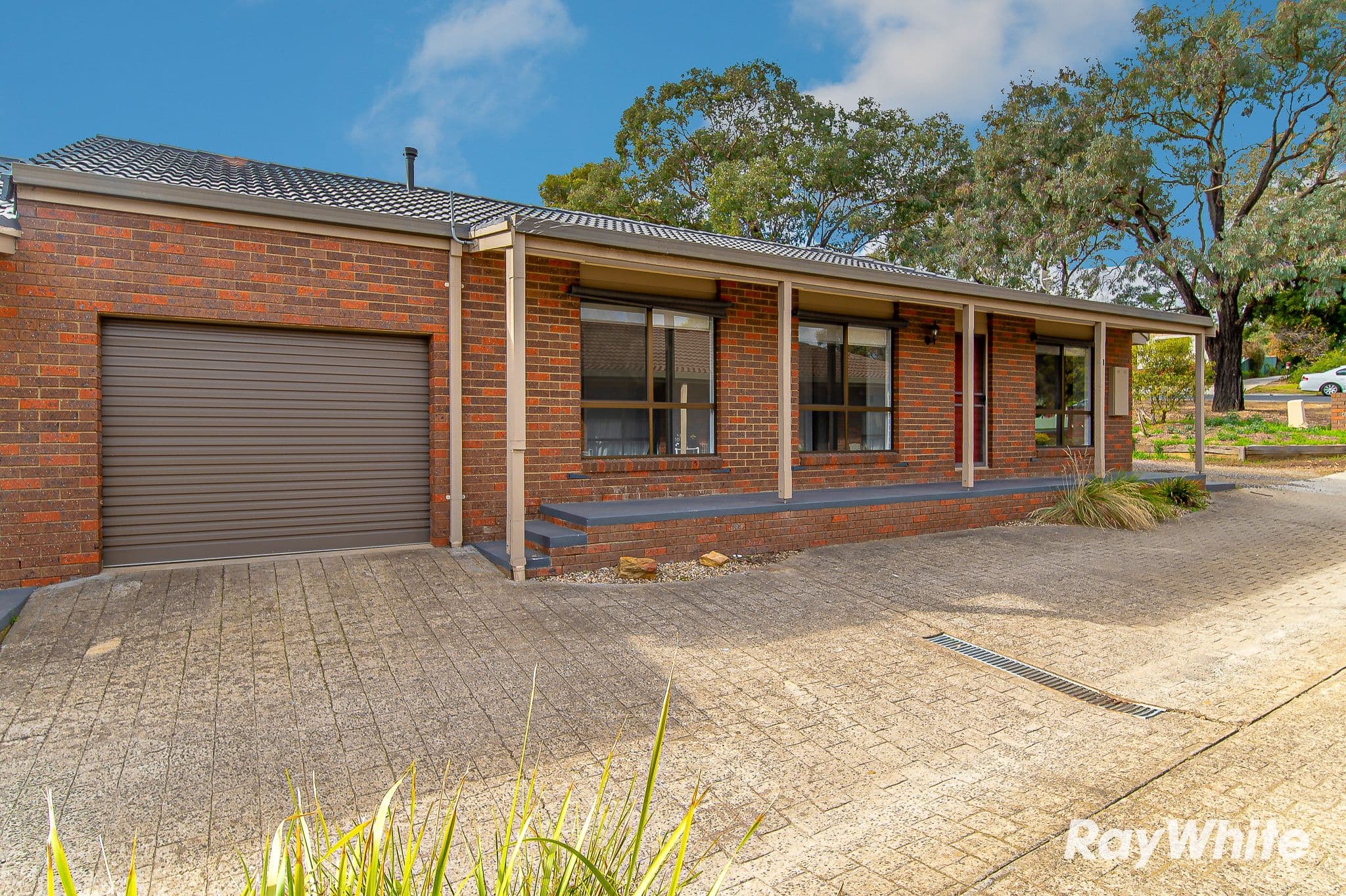 14 Michelsen Street, North Bendigo VIC 3550, North Bendigo - Thumbnail 3