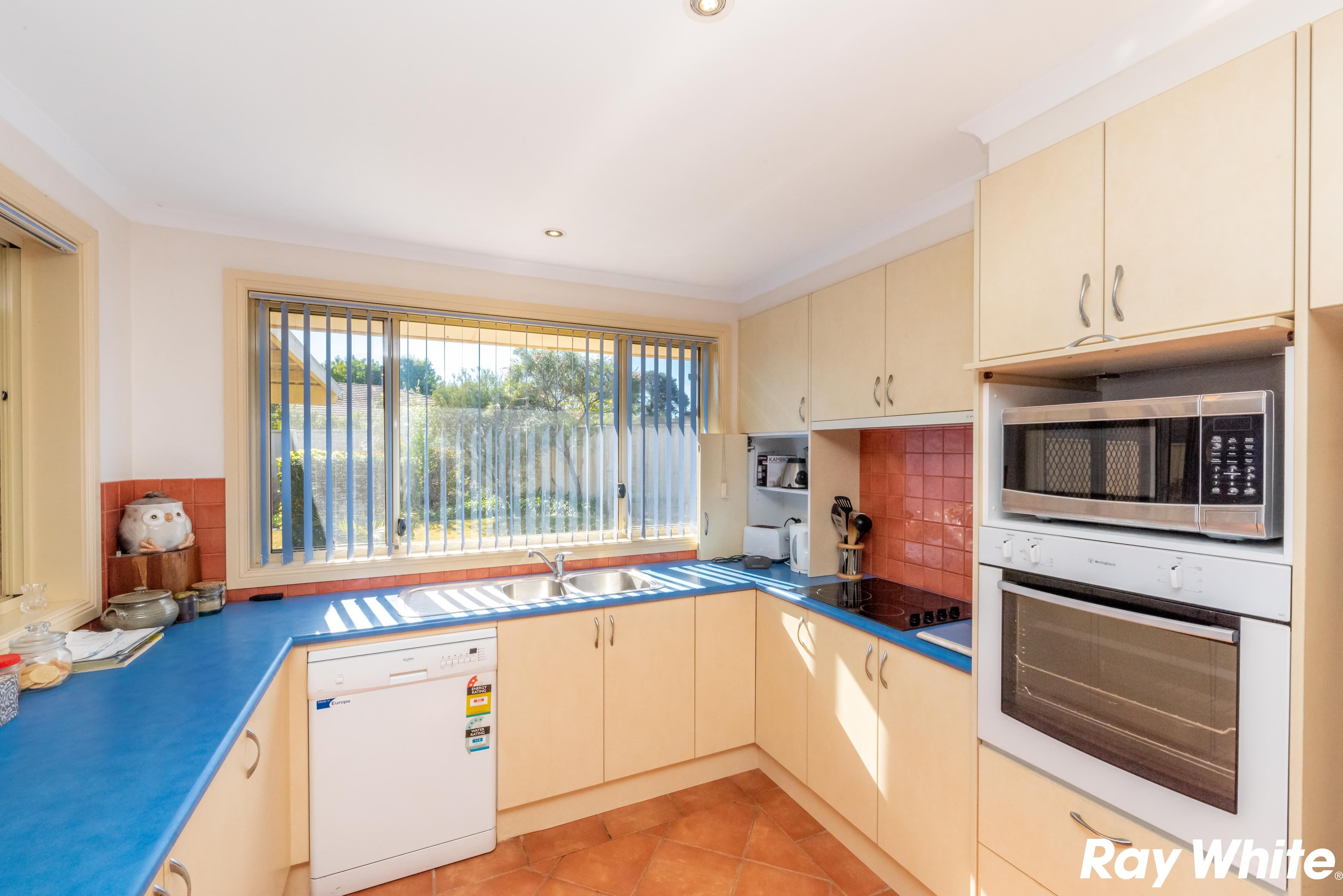 19 Serrata Court, Tuncurry - Thumbnail 4