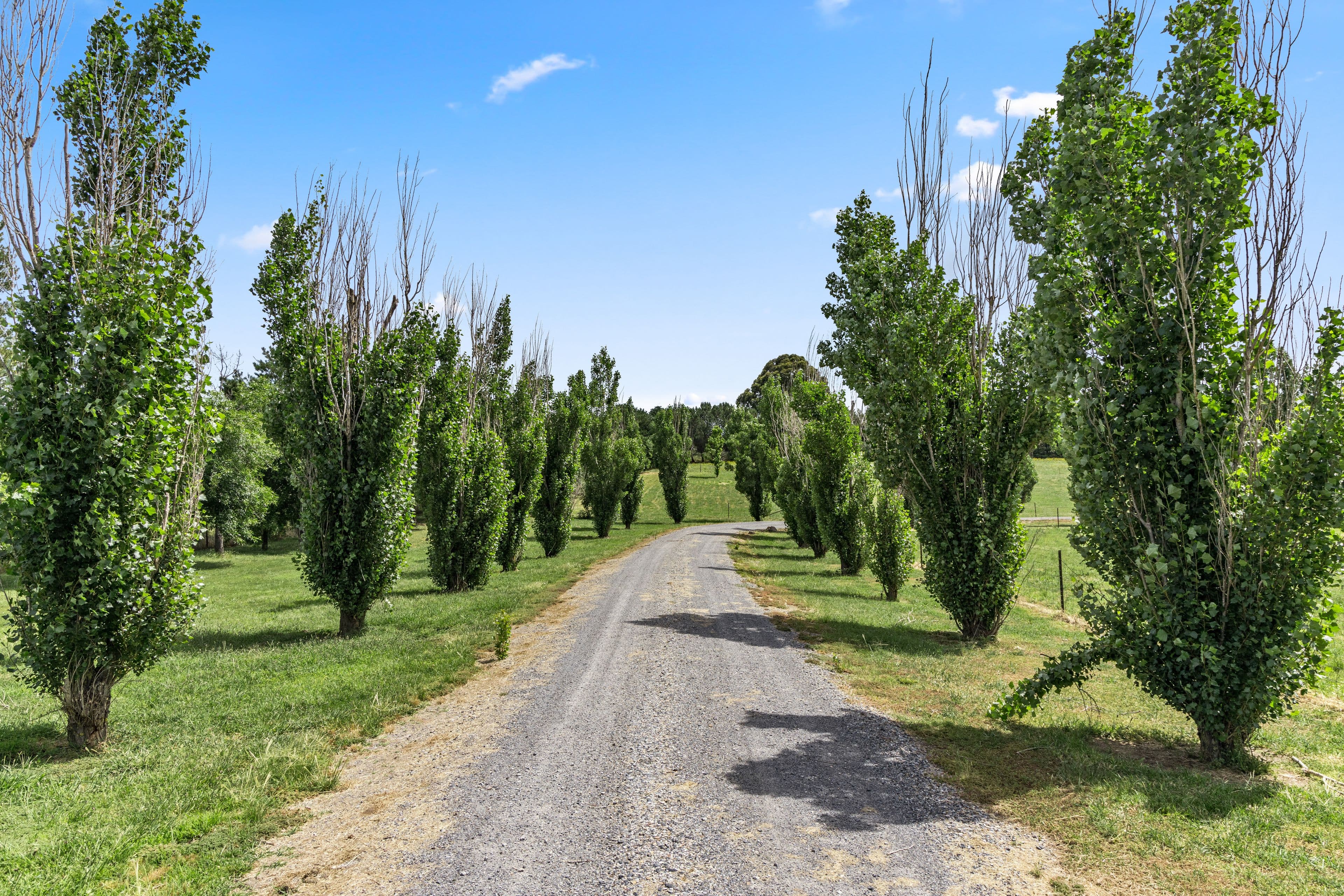 12 River Avenue, Yass NSW 2582, Yass - Thumbnail 5