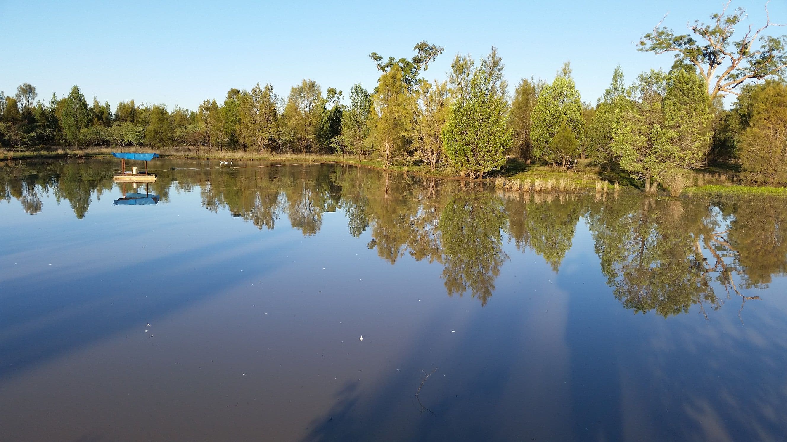Ducklo QLD 4405, Ducklo - Image 1