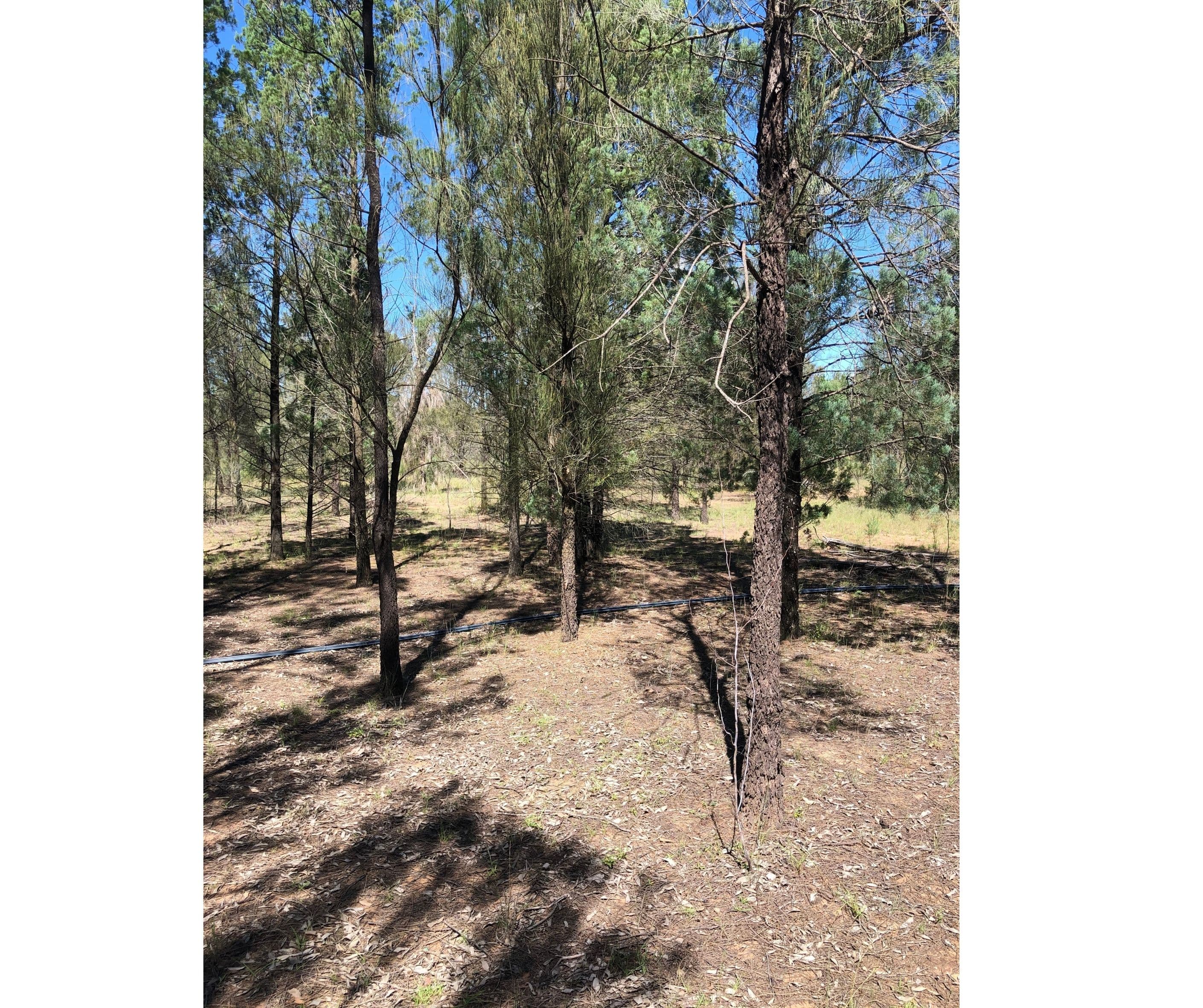 Ducklo QLD 4405, Ducklo - Thumbnail 3
