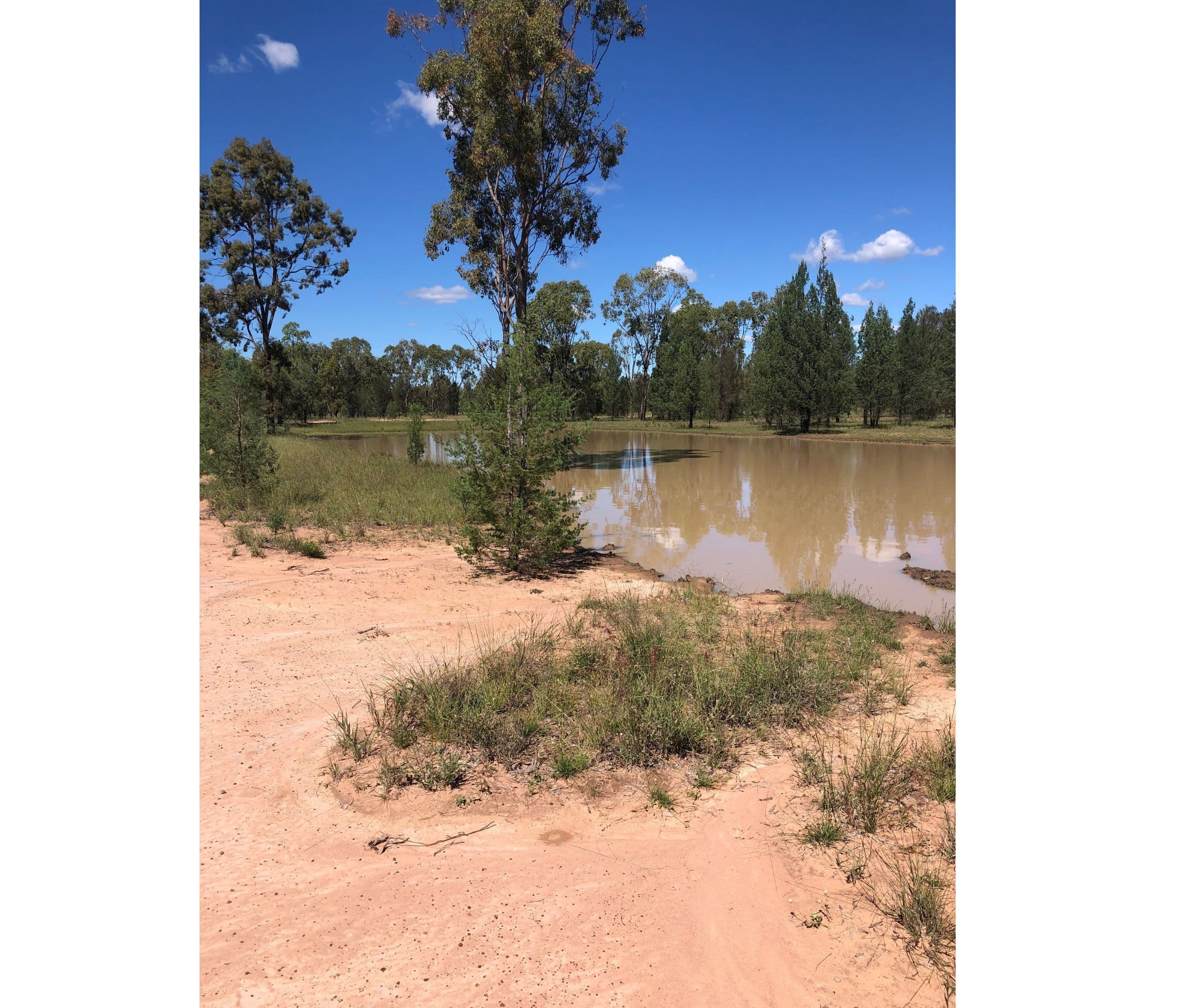 Ducklo QLD 4405, Ducklo - Thumbnail 6