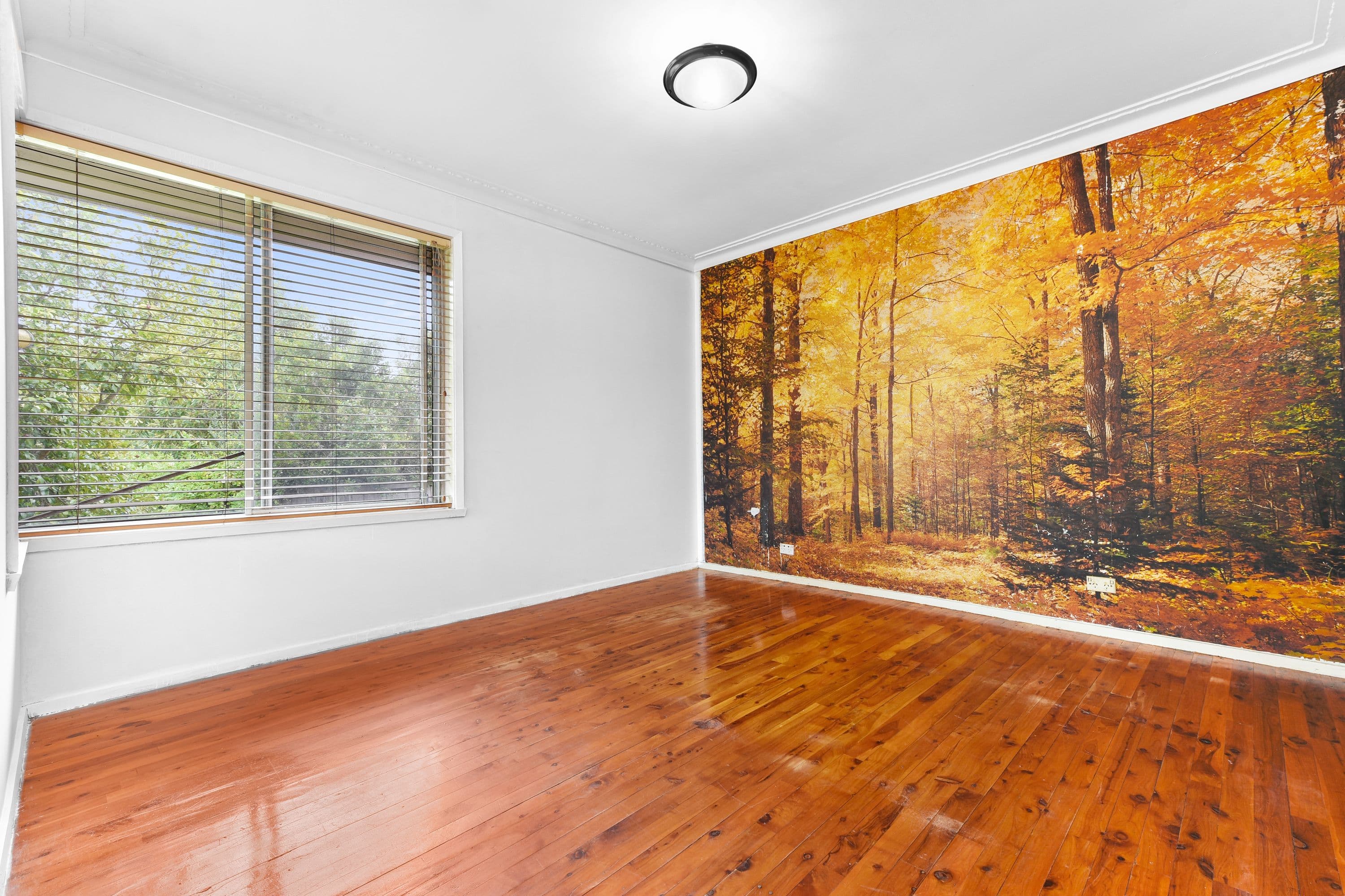 7 Luton Court, Rowville VIC 3178, Rowville - Thumbnail 4