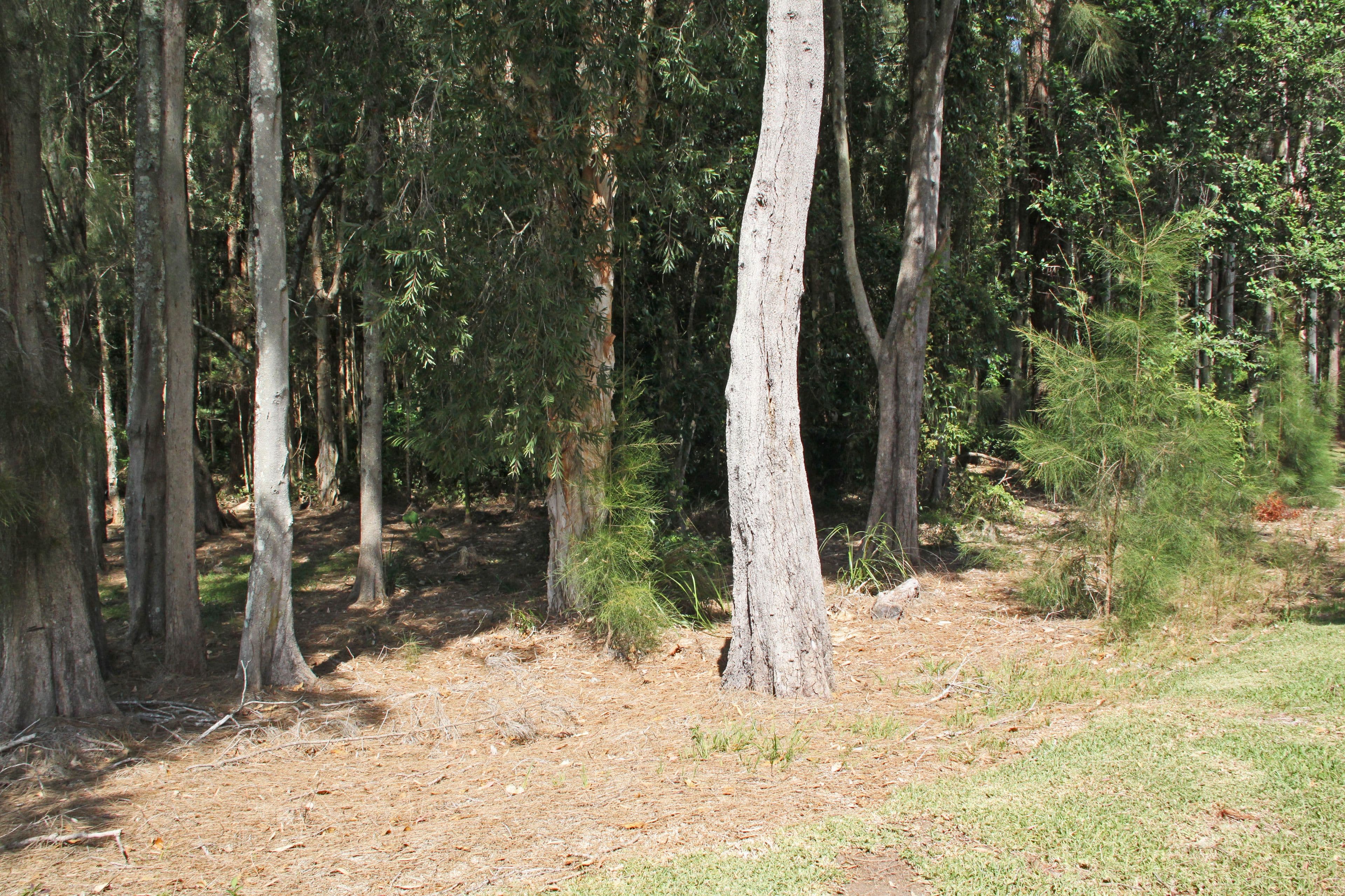 6 Tern Close, Lakewood - Thumbnail 2