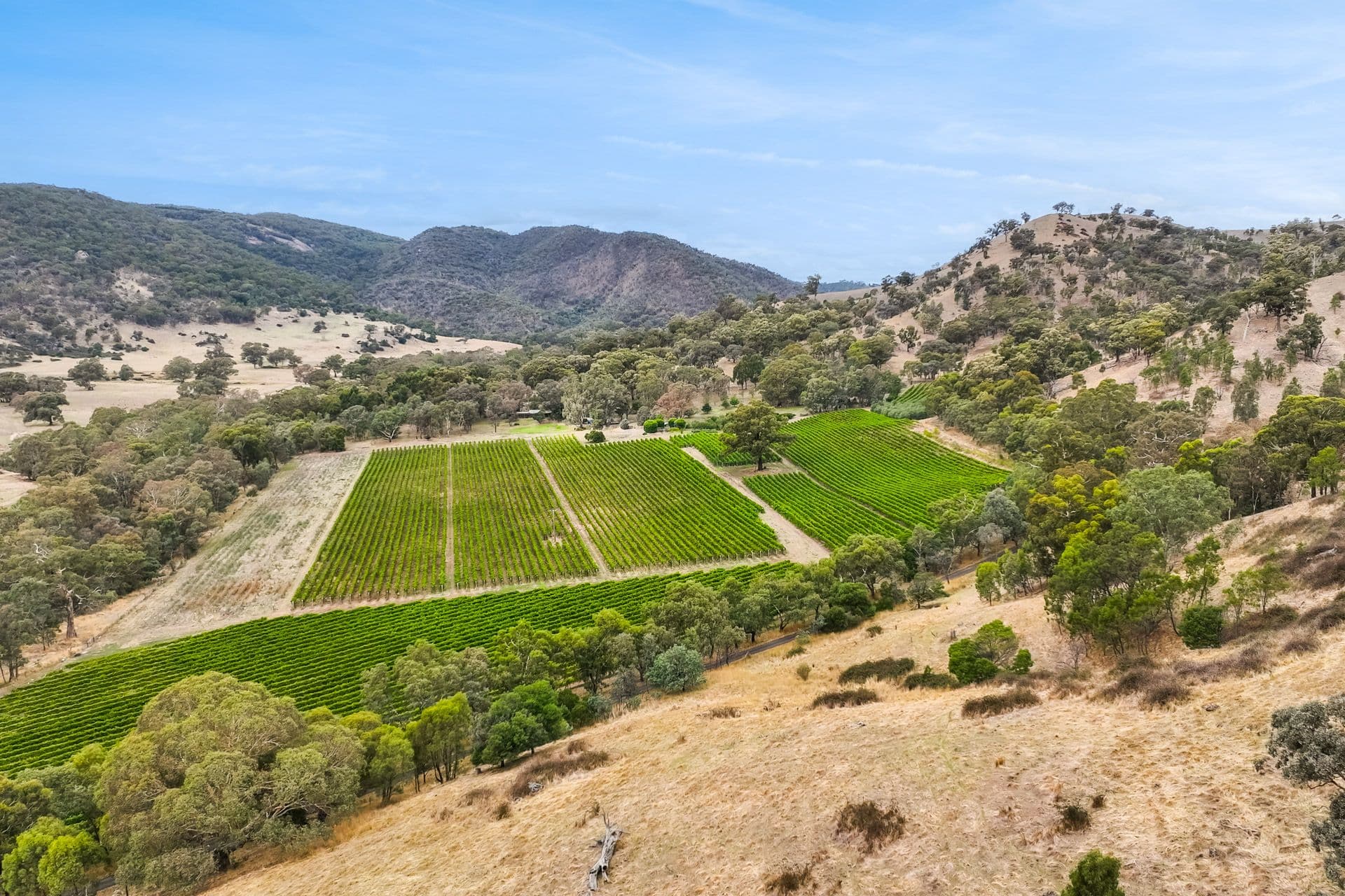 140 Ennis Road, Tallarook VIC 3659, Tallarook - Thumbnail 4