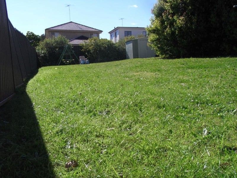 54 Wright Street, HURSTVILLE NSW 2220, Hurstville - Thumbnail 2