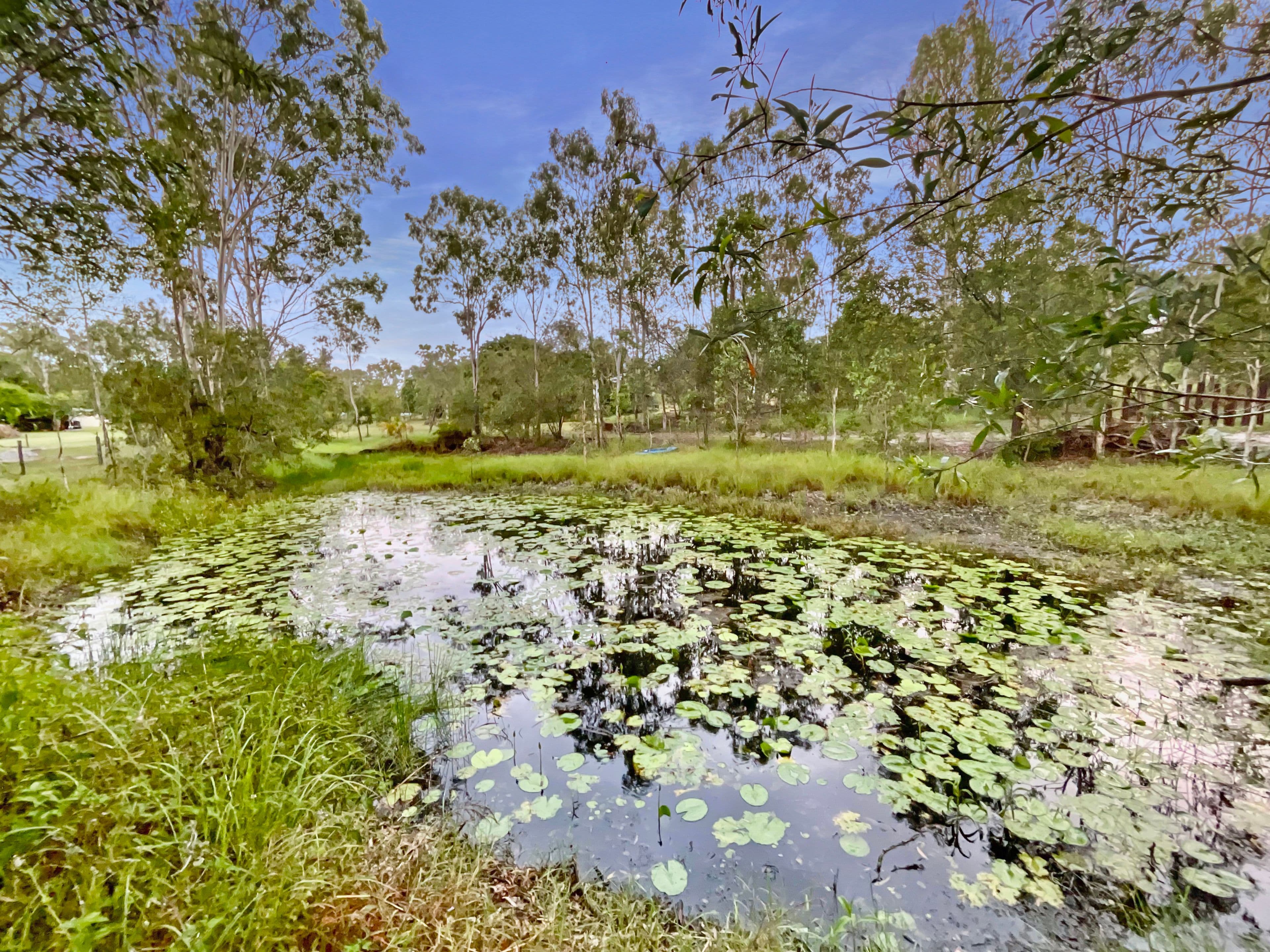 10 Stringybark Court, Miriam Vale QLD 4677, Miriam Vale - Thumbnail 7