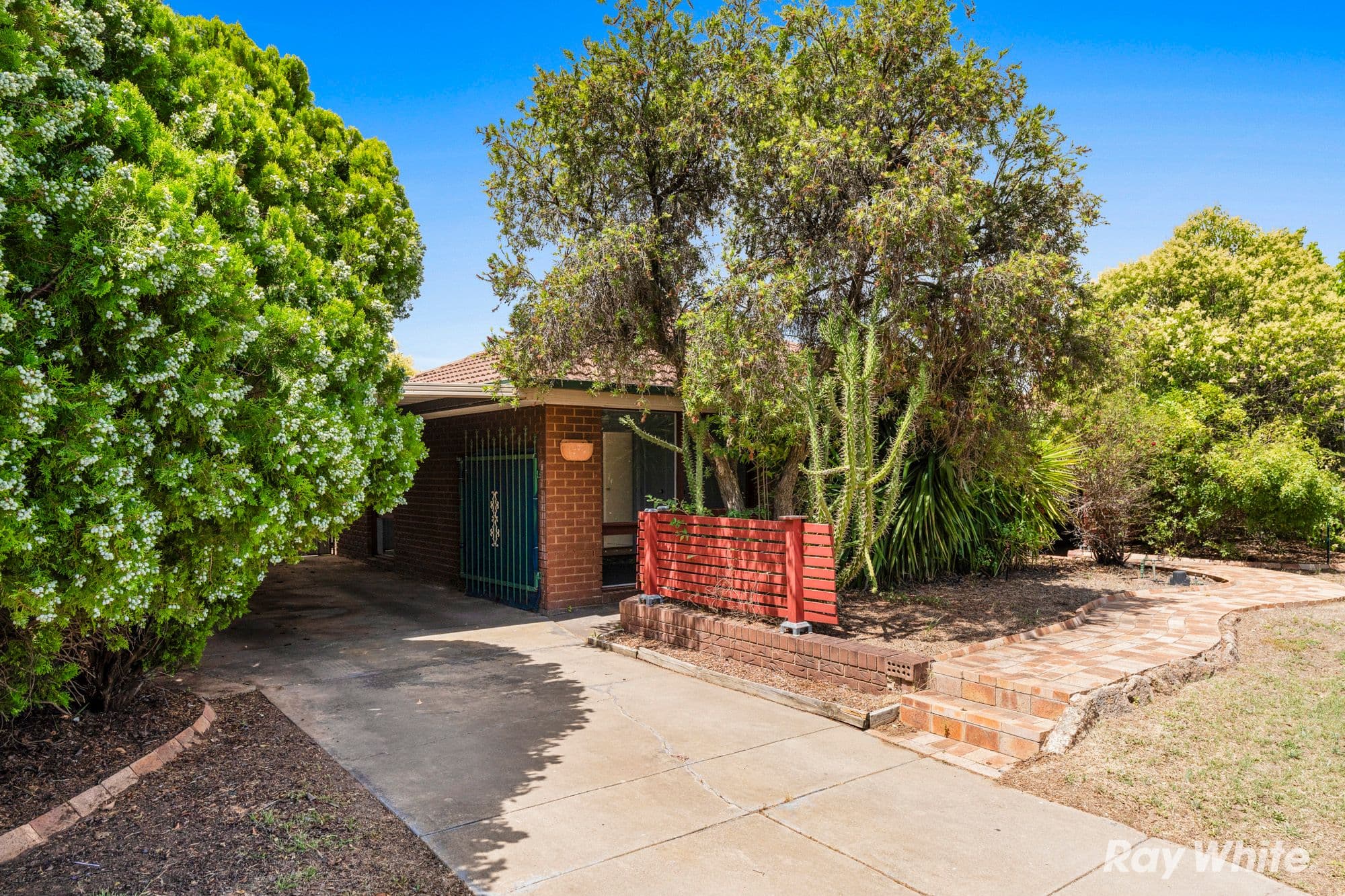 52 Pinaroo Drive, Glenfield Park NSW 2650, Glenfield Park - Thumbnail 3