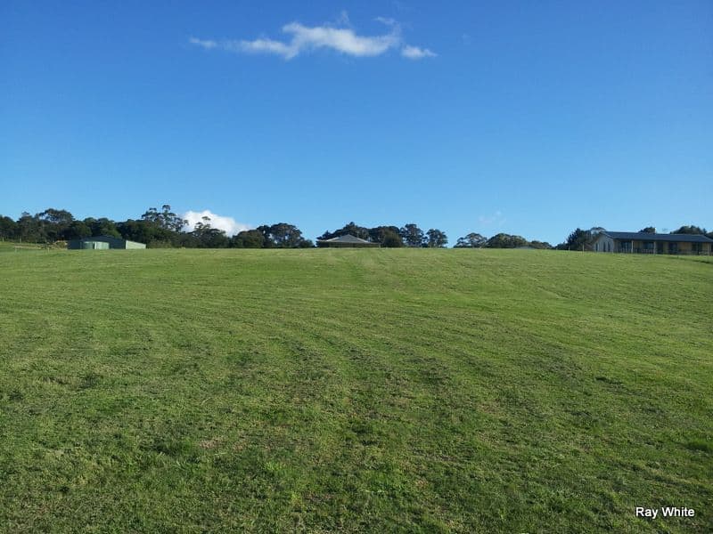 18A Burke Street, MAJORS CREEK NSW 2622, Majors Creek - Thumbnail 3