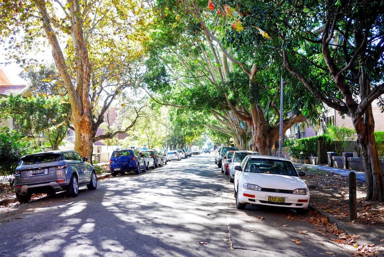 21 Balfour Road, Rose Bay NSW 2029, Rose Bay - Thumbnail 8