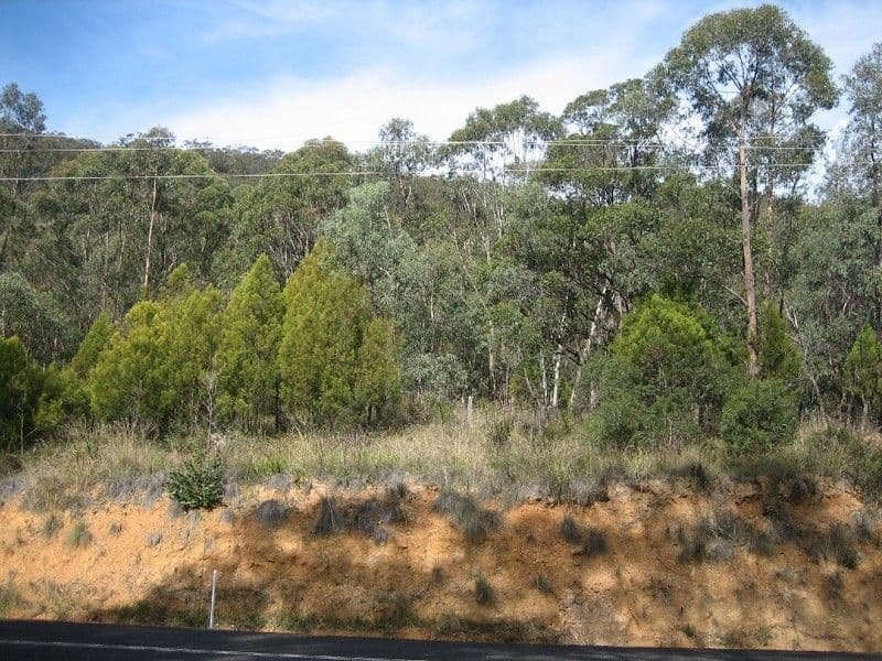 143 Coxs River Road, LITTLE HARTLEY NSW 2790, Little Hartley - Thumbnail 2
