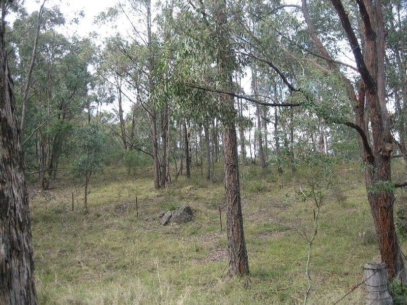 143 Coxs River Road, LITTLE HARTLEY NSW 2790, Little Hartley - Thumbnail 5