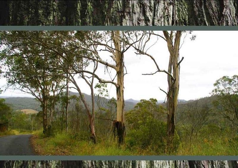 Hell Hole  Creek Road, PRESTON QLD 4352, Preston - Thumbnail 2