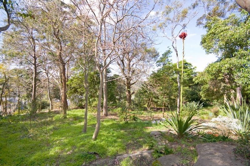 31 Height Crescent, MIDDLE COVE NSW 2068, Middle Cove - Thumbnail 8