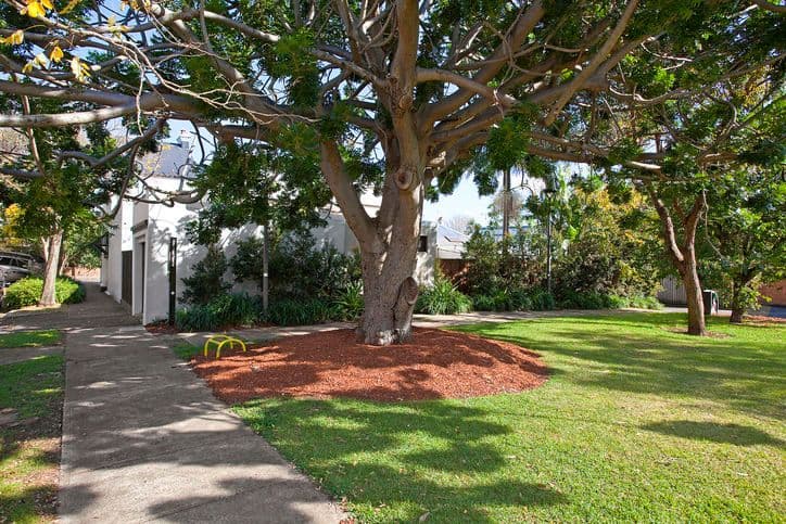 11A Jennings Street, ALEXANDRIA NSW 2015, Alexandria - Thumbnail 8