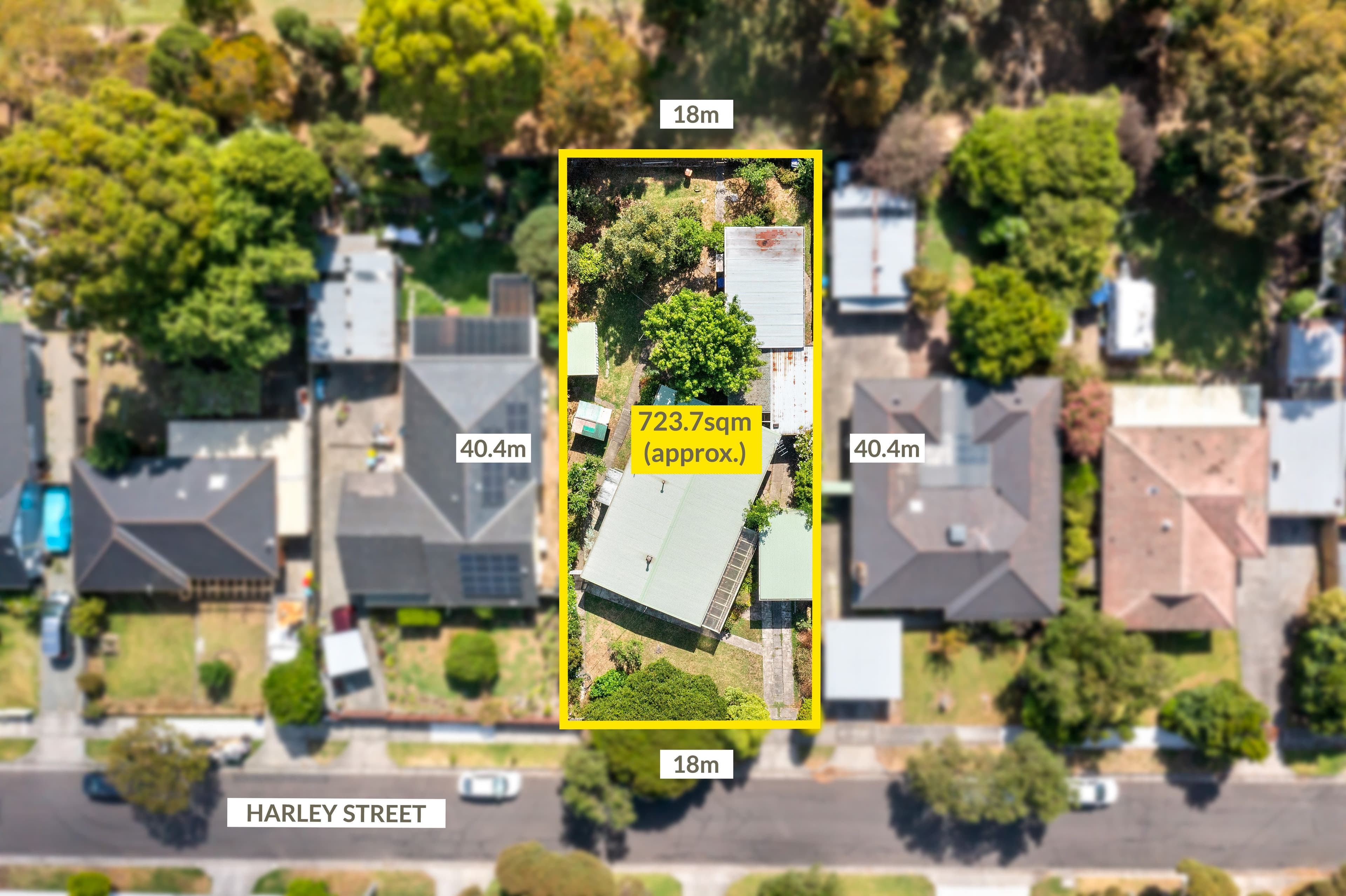 19 Addison Avenue, Roseville, Roseville - Thumbnail 3
