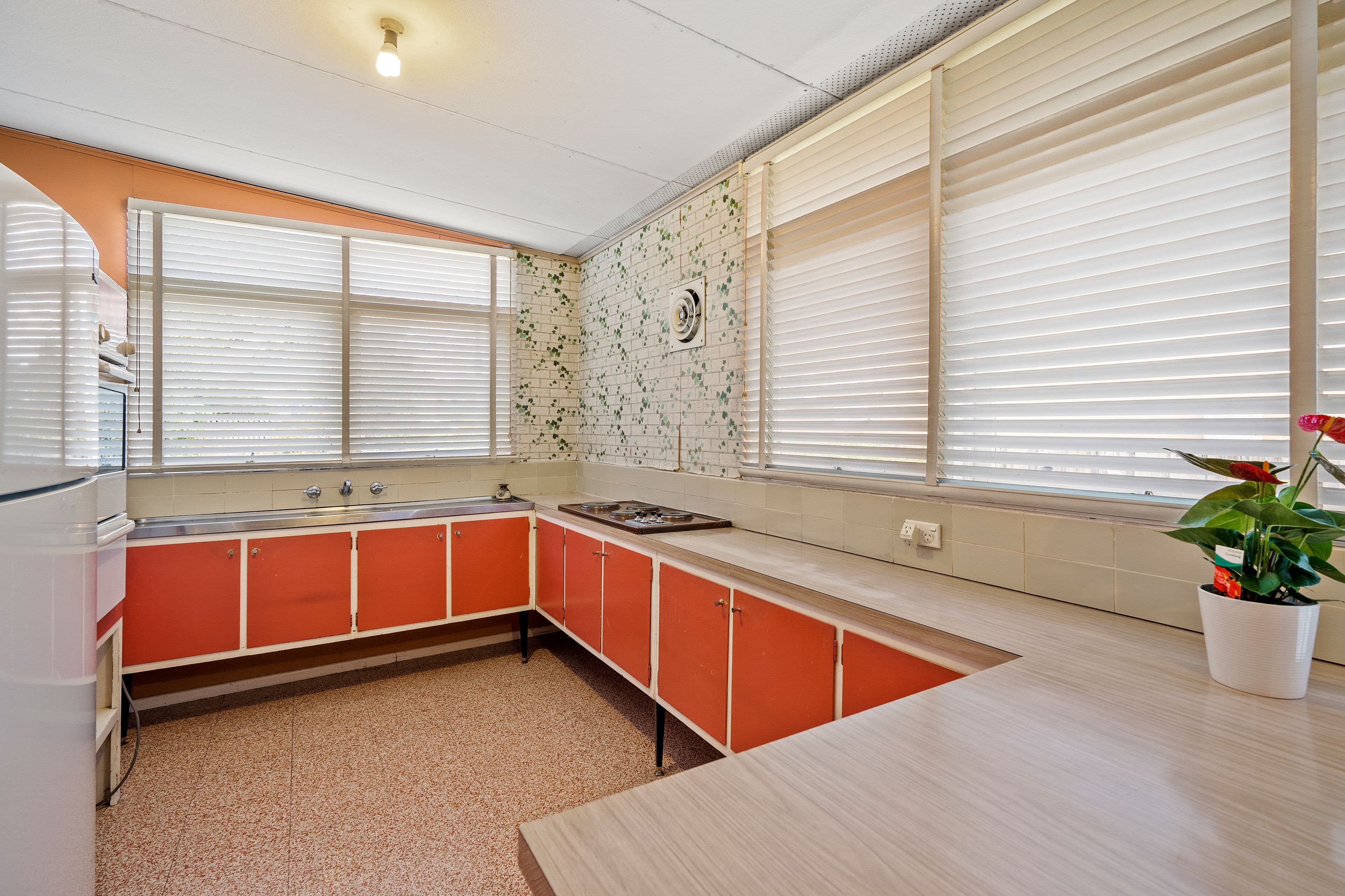 19 Addison Avenue, Roseville, Roseville - Thumbnail 4