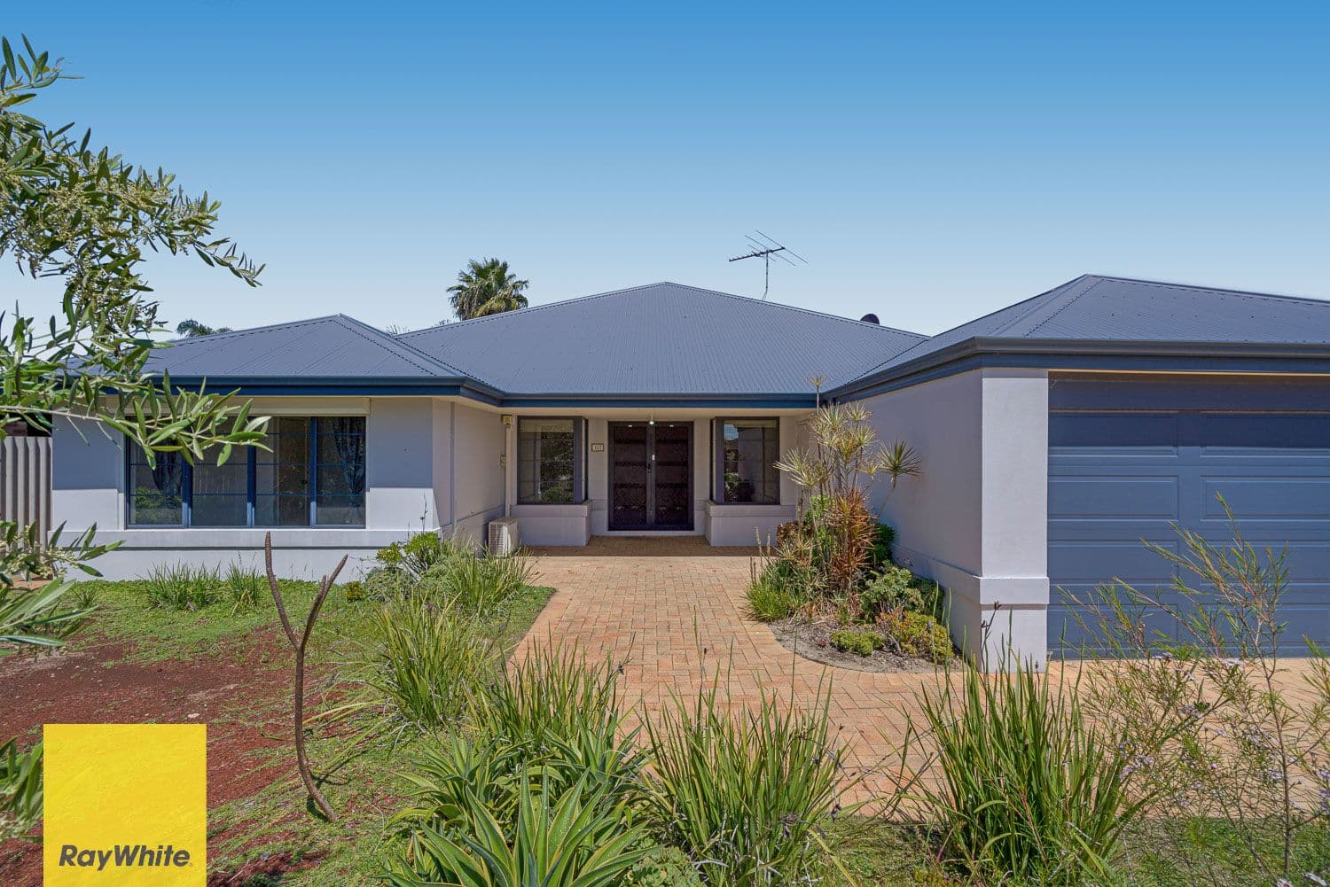 157 Walter Road East, Bassendean WA 6054, Bassendean - Image 1