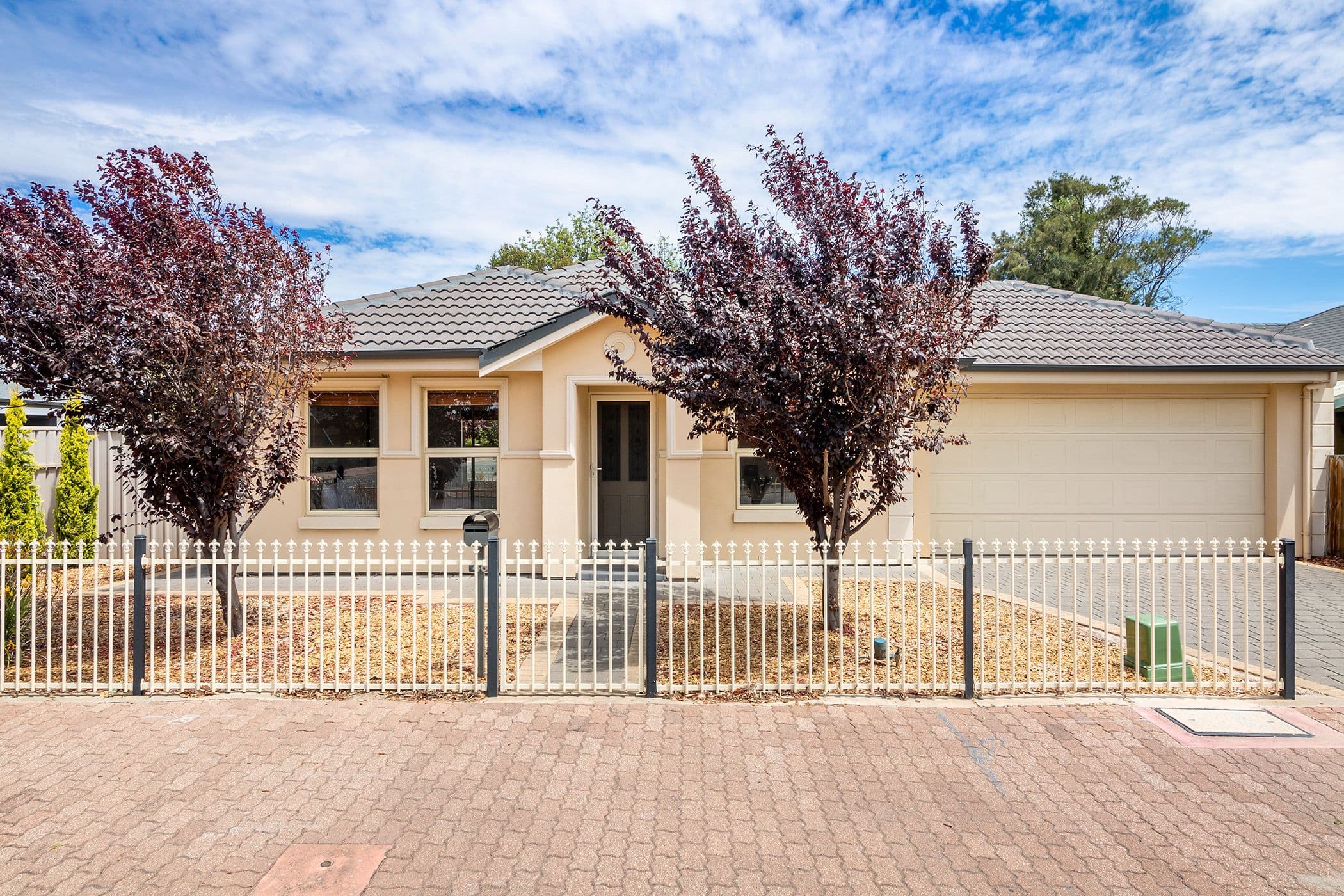 46 Macfarlane Street, Glenelg North SA 5045, Glenelg North - Image 1