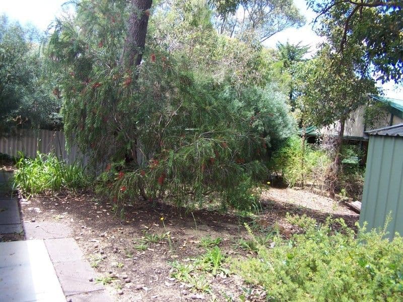 10 Hovea Crescent, WALLISTON WA 6076, Walliston - Thumbnail 7