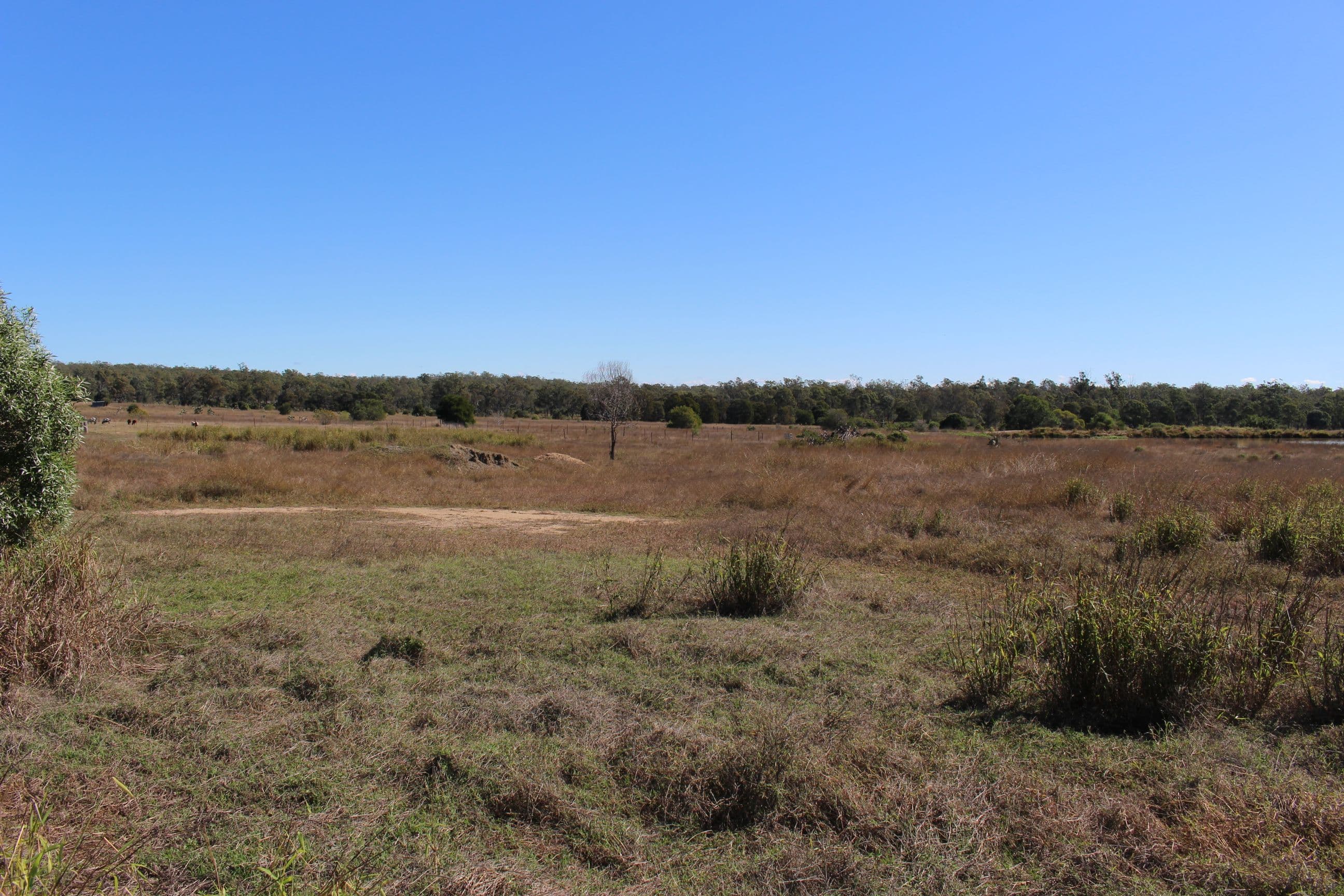 2899 Forest Hill Fernvale, Lowood QLD 4311, Lowood - Image 1