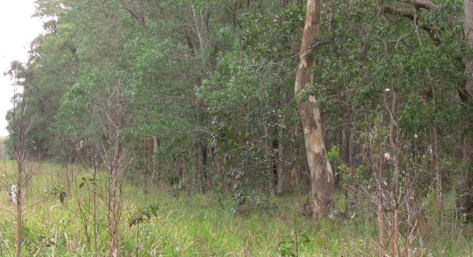 Lot 304 Iluka Road, Woombah NSW 2469, Woombah - Thumbnail 3