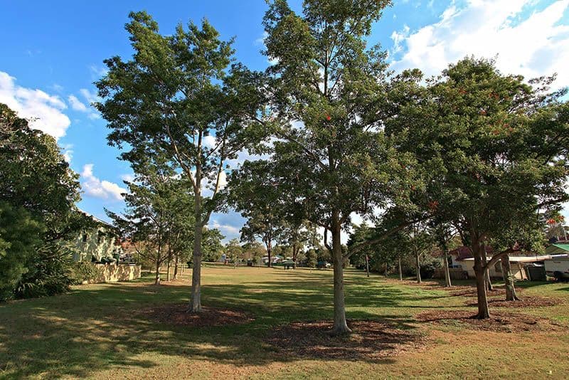 63 Hamilton Road, MOOROOKA QLD 4105, Moorooka - Thumbnail 2