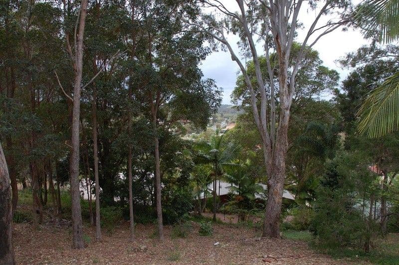49 PANORAMA Drive, TWEED HEADS WEST NSW 2485, Tweed Heads West - Image 1