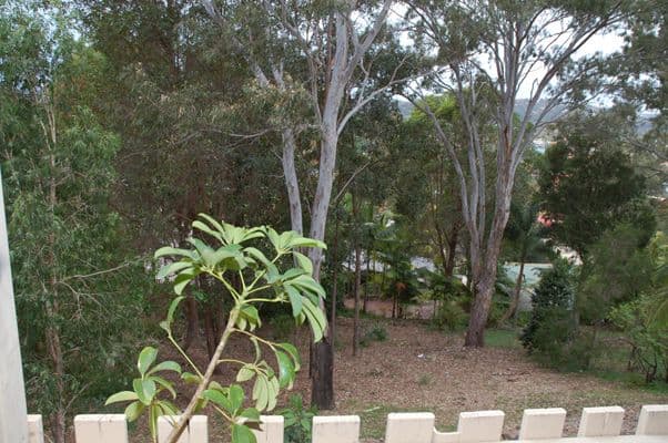 49 PANORAMA Drive, TWEED HEADS WEST NSW 2485, Tweed Heads West - Thumbnail 8