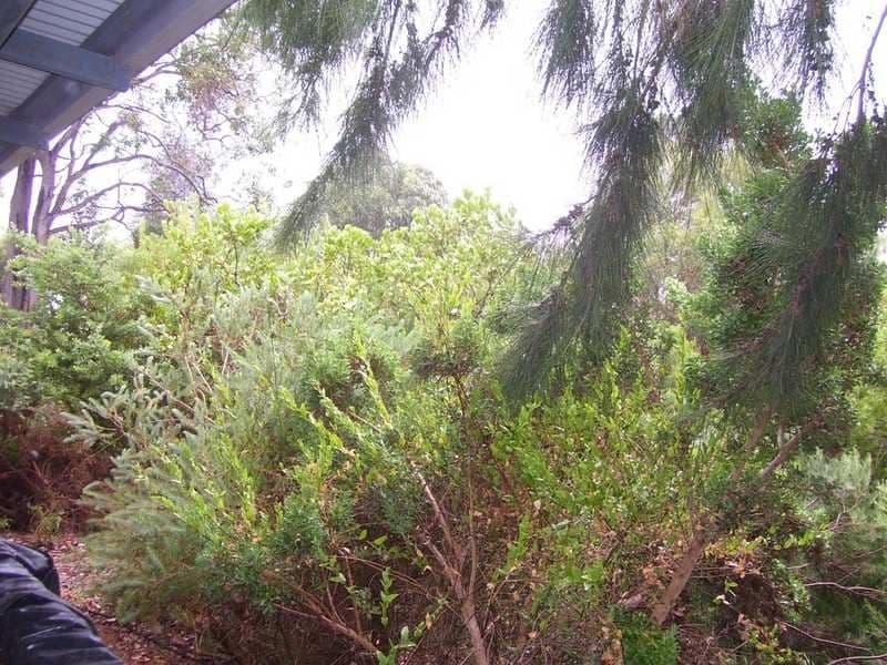 Lot 3 Marmion Street, MOUNT BARKER WA 6324, Mount Barker - Thumbnail 8