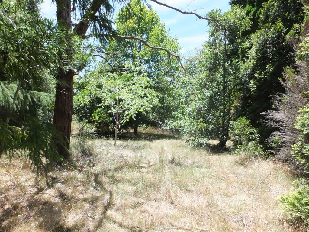 24 Sylvania Street, MOUNT VICTORIA NSW 2786, Mount Victoria - Image 1