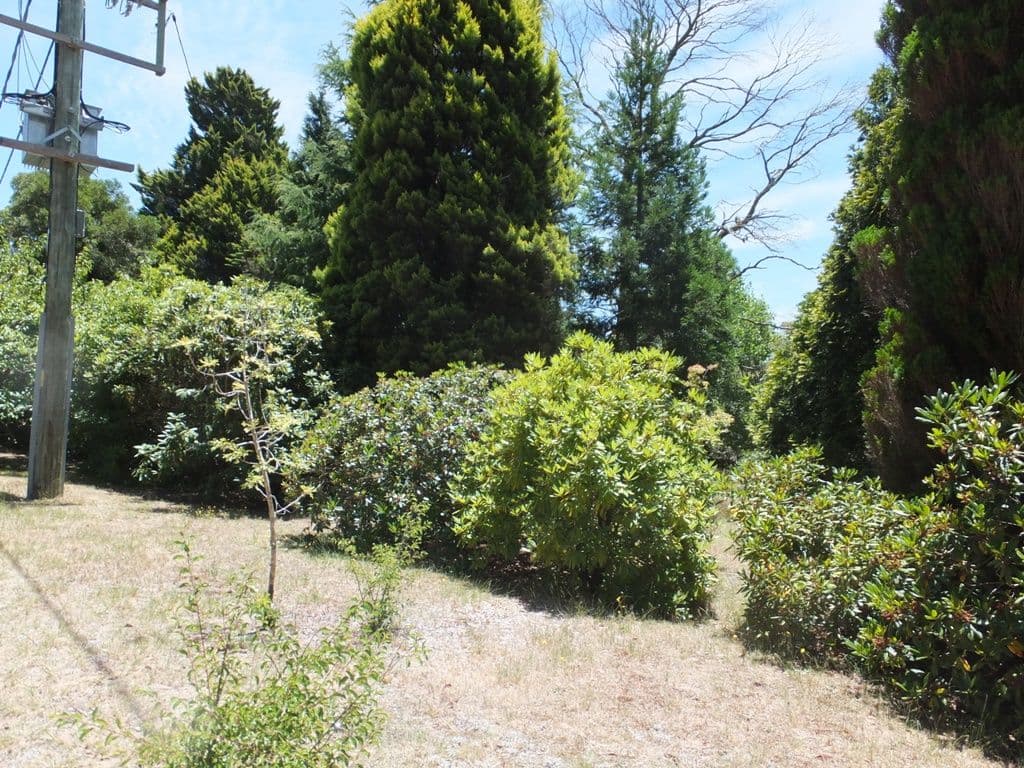 24 Sylvania Street, MOUNT VICTORIA NSW 2786, Mount Victoria - Thumbnail 2