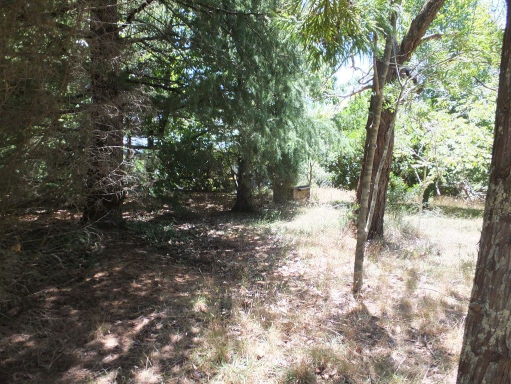 24 Sylvania Street, MOUNT VICTORIA NSW 2786, Mount Victoria - Thumbnail 3
