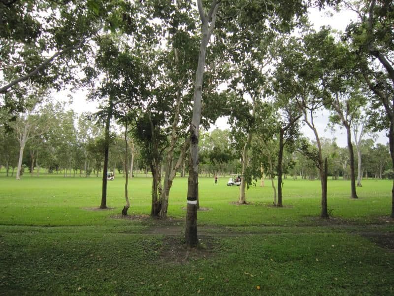 11 Buzacott Street, GORDONVALE QLD 4865, Gordonvale - Image 1