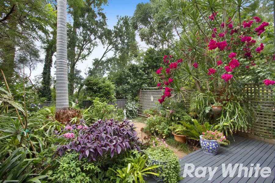 53 Brisbane Road, CASTLE HILL NSW 2154, Castle Hill - Thumbnail 7