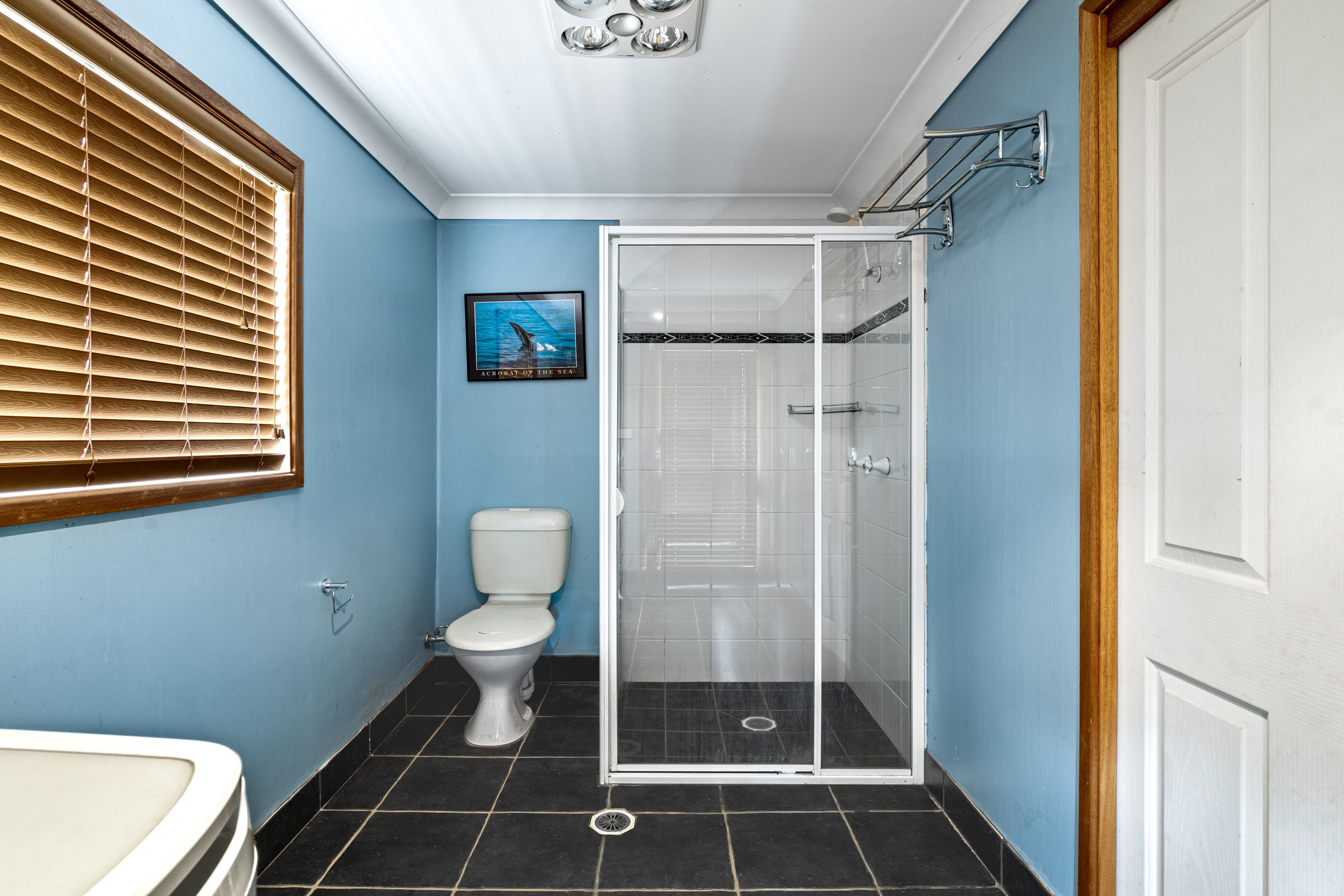 6 Trabb Place, Ambarvale NSW 2560, Ambarvale - Thumbnail 8