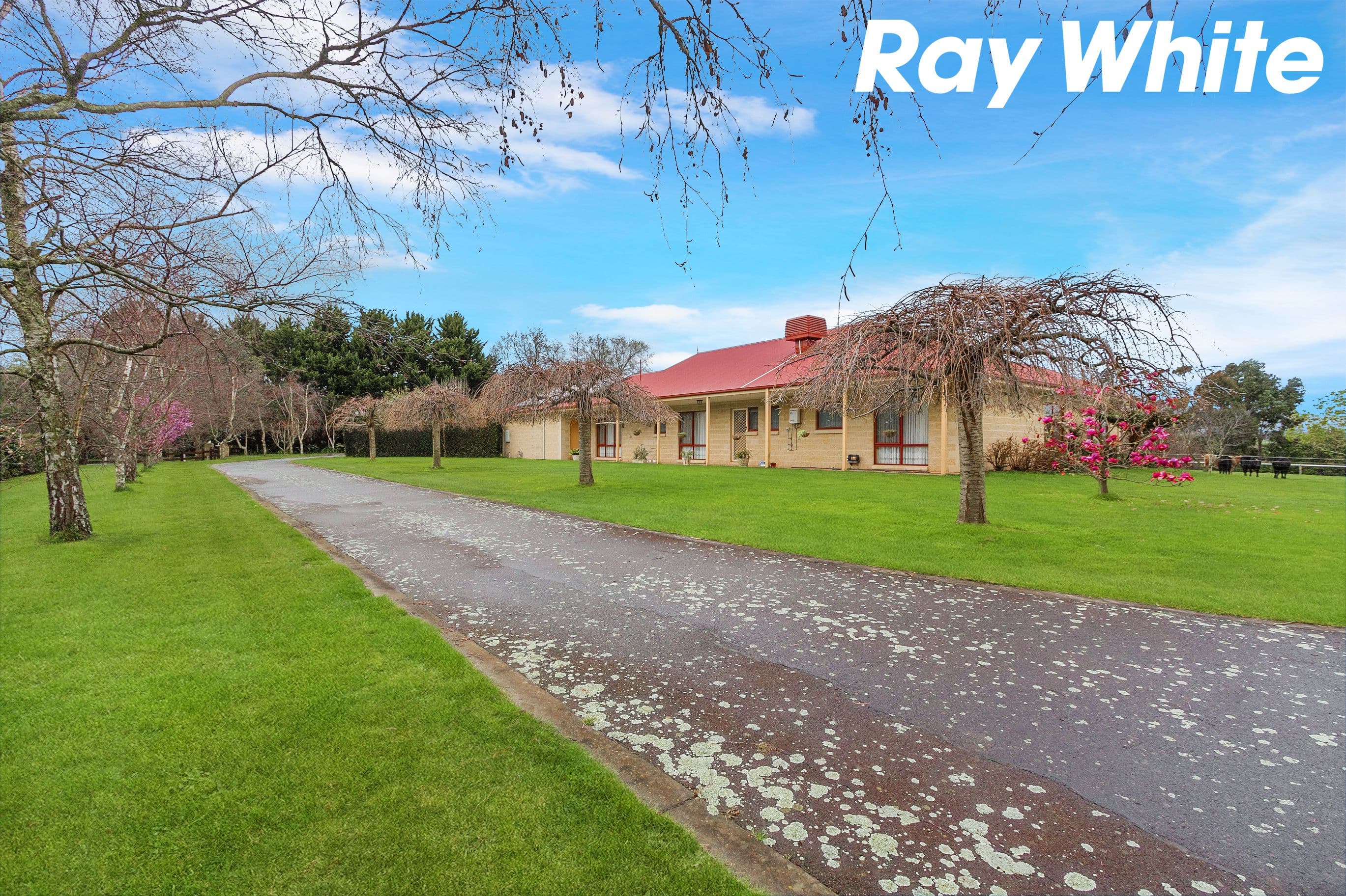 16 Pepperell Drive, Drouin VIC 3818, Drouin - Thumbnail 4