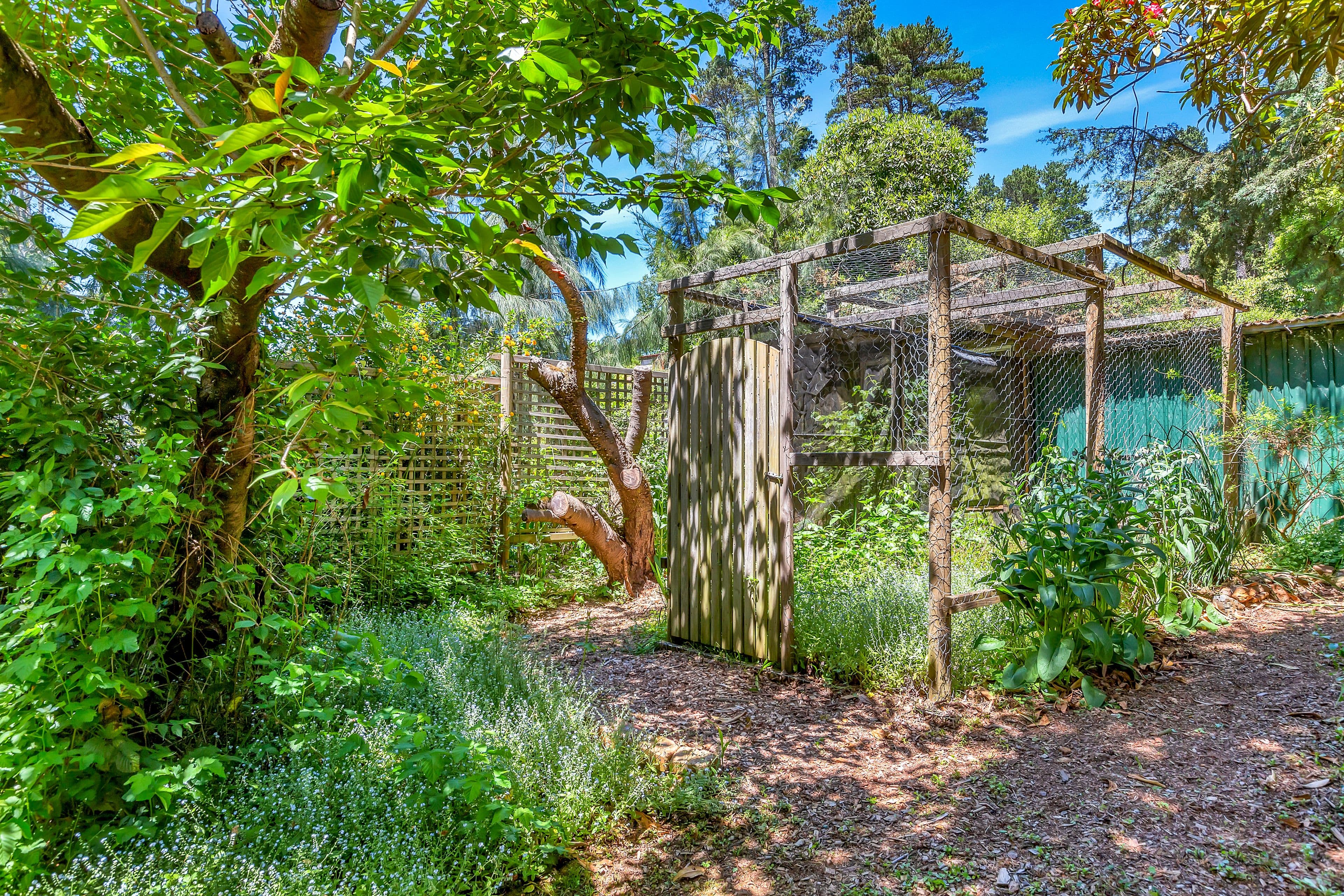 11 Barratt Street, Blackheath NSW 2785, Blackheath - Thumbnail 5