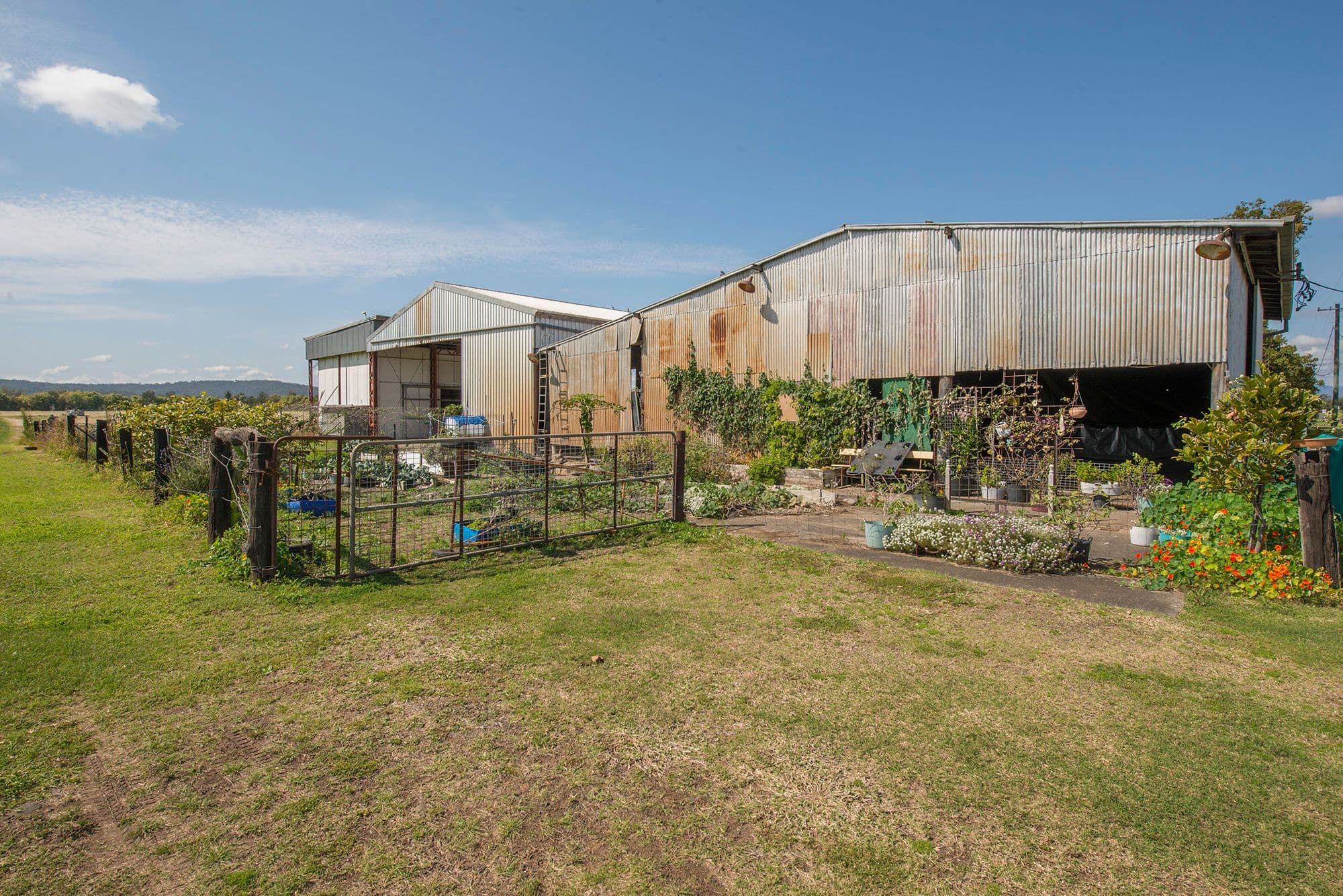 17 Mulgowie Road, Laidley South QLD 4341, Laidley South - Thumbnail 2