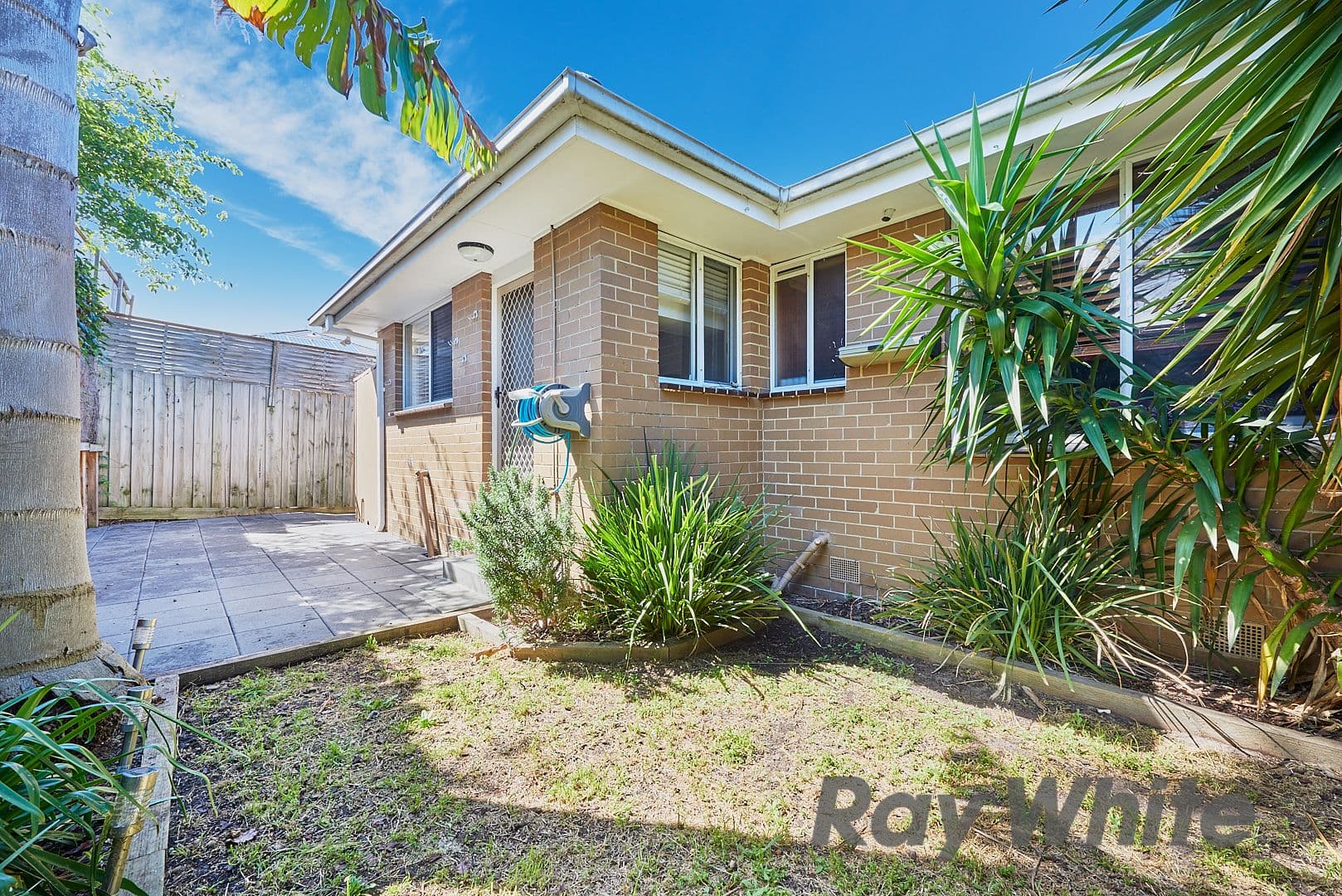 16 Melrose Street, Mordialloc VIC 3195, Mordialloc - Thumbnail 6
